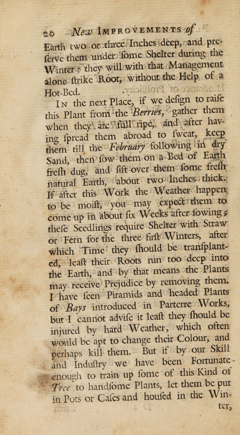 2,6 j\fczjy Improvements of Earth two or three Indies deep, and pro ferVe them under Tome Shelter during die Winter ? they will with that Management alone fh ikc Root, without the Help of a Hot-Bed. ' ‘ I n the next Place, if we defign to raue this Plant from the Berries, gather them when they are full ripe, and after hav¬ ing fpread them abroad to Sweat, keep them till the February following ill dry Sand, then fow them on a Bed of Earth frefli due, and fift over them fome frelh natural Earth, about two Inches thick. If after this Work the Weather happen to be moift, you may expect them to come up in about fix Weeks after lowing * thefe Seedlings require Shelter with Straw or Fern for the three firft Winters, after which Time they fhould be tranfplant- ed, leaft their Roots run too deep into the Earth, and by that means the Plants may receive Prejudice by removing them. I have feen Piramids and headed Plants of Bays introduced in Parterre Works, but I cannot advife it leaft they fhould be injured by hard Weather, which often would be apt to change their Colour, and perhaps kill them. But if by our Skill and Induftry we have been Fortunate- enough to train up fome of this Kind ol Tree to handlome Plants,^ let them be put in Pots or Cafes and houfcd in the Win¬ ter,