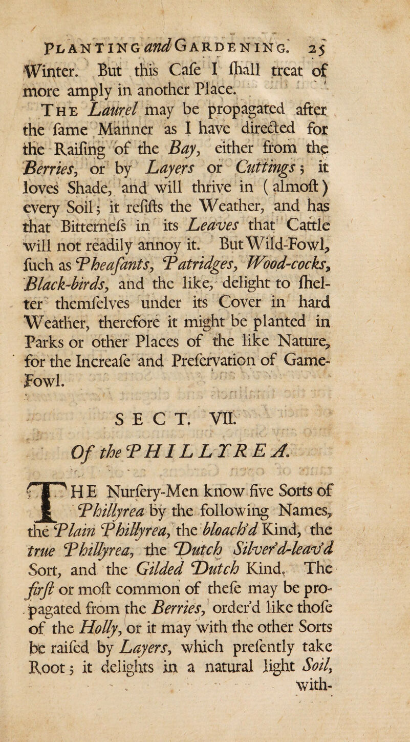 Pl,ANTING0»iGARDENING. 2$ » » . • > tr , t Winter. But this Cafe I lhall treat of more amply in another Place. The Laurel may be propagated after the fame Manner as I have dire&ed for the Railing of the Bay, either from the Berries, or by Layers or Cuttings 5 it loves Shade, and will thrive in (almoft ) every Soil 5 it refifts the Weather, and has that Bitternels in its Leaves that Cattle will not readily annoy it. But Wild-Fowl,, fuch as Theafants, Datridges, Wood-cocks, Black-birds, and the like, delight to Ihel- ter themfelves under its Cover in hard Weather, therefore it might be planted in Parks or other Places of the like Nature* for the Increafe and Prefervation of Game- Fowl. SECT. vn. Of the? HILLY RE A. TH E Nurlery-Men know five Sorts of Bhillyrea by the following Names* the Plain CP hilly rea, the bloactid Kind, the true BhiUyrea, the Dutch Silver d-leavyd Sort, and the Gilded Dutch Kind, The firft or moil common of thefe may be pro¬ pagated from the Berries, order d like thofe of the Holly, or it may with the other Sorts be raifed by Layers, which prefently take Root 5 it delights in a natural light Soil, - . with-