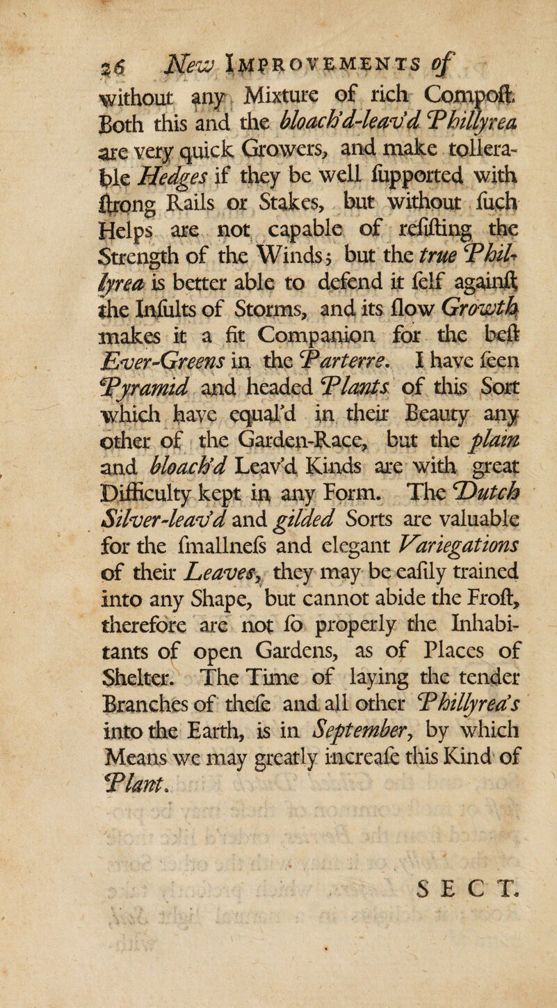 without any Mixture of rich Compoft, Both this and the bloach'd-leav d Thillyrea are very quick Growers, and make tollera- Iple Hedges if they be well fiipported with Rrong Rails or Stakes, but without fuch Helps are not capable of refilling the Strength of the Winds $ but the true Phil lyrea is better able to defend it feif againfl; the Inlults of Storms, and its flow Growth makes it a fit Companion for the belt Ever-Greens in the Parterre. I have feen Pyramid and headed Plants of this Sort which have equaled in their Beauty any other of the Garden-Race, but the plain and bloachd Leav'd Kinds are with great Difficulty kept in any Form. The Dutch Silver-leav'd and gilded Sorts are valuable for the fmallnefs and elegant Variegations of their Leaves^ they may be eafily trained into any Shape, but cannot abide the Froft, therefore are not fo properly the Inhabi¬ tants of open Gardens, as of Places of Shelter. The Time of laying the tender Branches of thefe and all other Phillyrea's into the Earth, is in Sept ember, by which Means we may greatly increafe this Kind of Plant•