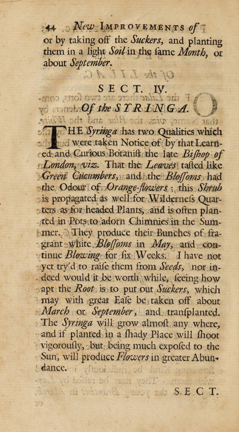 J 44 New Improvements of or by taking off the Suckers, and planting them in a light Soil in the fame Month, or about September. SECT. IV. , n i ^ r., f: ■ Of the S TR I N G A. % v i P* 0 HE Syrmga has two Qualities which i were taken Notice of by that Learn¬ ed and Curious. Botanift the late Bifhop of London, viz. That the Leaves tailed like Green Cucumbers, and the Blojfoms had the Odour of Orange-flowers; this Shrub is propagated as well for Wildemels Quar¬ ters as for headed Plants, and is often plan¬ ted in Pots to adorn Chimnies in the Sum¬ mer. They produce their Bunches pf fra¬ grant white /Blojfoms in May, and con¬ tinue Blowing for fix Weeks. I have not yet tiy d to raife them from Seeds, nor in¬ deed would it be worth while, feeing how apt the Root is to put out Suckers, which may with great Eafe be taken off about March or September, and tranlplanted* The Syringa will grow almoft any where, and if planted in a fliady Place will ftioot vigoroufly, but being much expofed to the Sun, will produce Flowers in greater Abum dance. SEC To