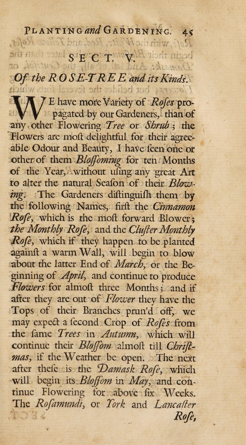 ' 'v :• \ . : . ; V- ' , , t. S B C T. V 0 ' t / bxiA ■ Of the ROS E-T RE E and its Kinds, WE have more Variety of Rojes pro¬ pagated by our Gardeners,! than of any . other Flowering Tree or Shrubs the Flowers are moll: delightful for their agree¬ able Odour and Beauty, I have feen one or other of them BloJJoming for ten Months of the Year, without riling any great Art to alter the natural Seafon of their Blow¬ ing. The Gardeners diftinguilh them by the following Names, firft the Cinnamon Rofey which is the rrioft forward Blower; the Monthly Rofey and the Clufter Monthly Rofe, which if they happen to be planted againft a warm Wall, will begin to blow about the latter End of Marchy or the Be¬ ginning of April\ and continue to produce Flowers for almoft three Months; and if after they are out of Flower they have the Tops of their Branches prun'd off, we may expeft a fecond Crop of Rofes from the fame Trees in Autumn, which will continue their Blojfom almoft till Chrift- masy if the Weather be open. The next after thefc is the cDamask Rofe, which will begin its Blojfom in May, and con¬ tinue Flowering for above fix Weeks. The Rofamundi, or Tork and Lancafler