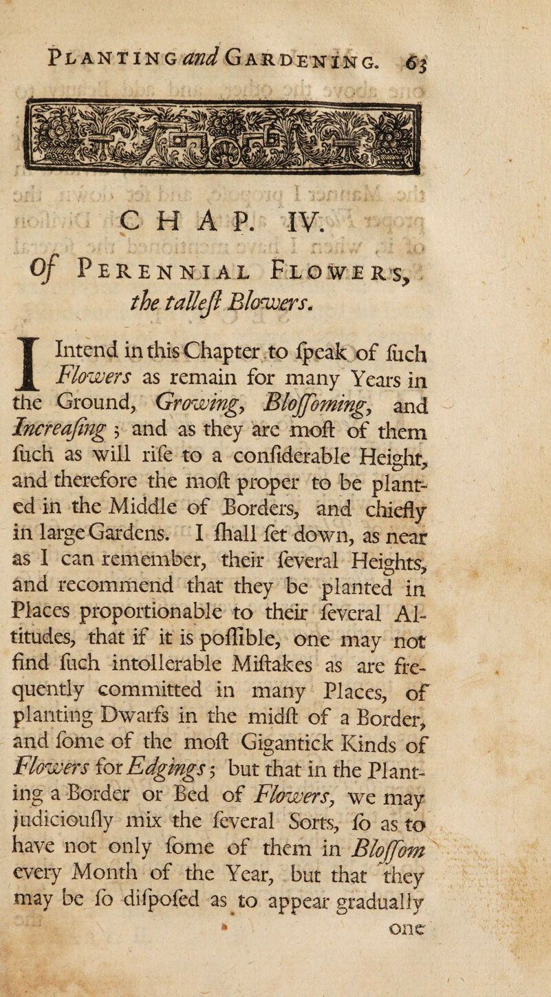 Plant in Gand Gardening. 6$ CHAP. IV. Of Per ennial Flowers, the tallejl B lcmers. I Intend in this Chapter to Ipeak of luch Flowers as remain for many Years in the Ground, Growing, BloJJbming, and Increafing ; and as they are moft of them fuch as will rife to a confiderable Height, and therefore the moft proper to be plant¬ ed in the Middle of Borders, and chiefly in large Gardens. I fhall fet down, as near as I can remember, their feveral Heights, and recommend that they be planted in Places proportionable to their leveral Al¬ titudes, that if it is poffible, one may not find fuch intollerable Miftakes as are fre¬ quently committed in many Places, of planting Dwarfs in the midft of a Border, and fome of the moft Gigantick Kinds of Flowers for Edgings; but that in the Plant¬ ing a Border or Bed of Flowers, we may judicioufly mix the feveral Sorts, lo as to have not only fome of them in BloJJbm every Month of the Year, but that they may be lo dilpofed as to appear gradually * one