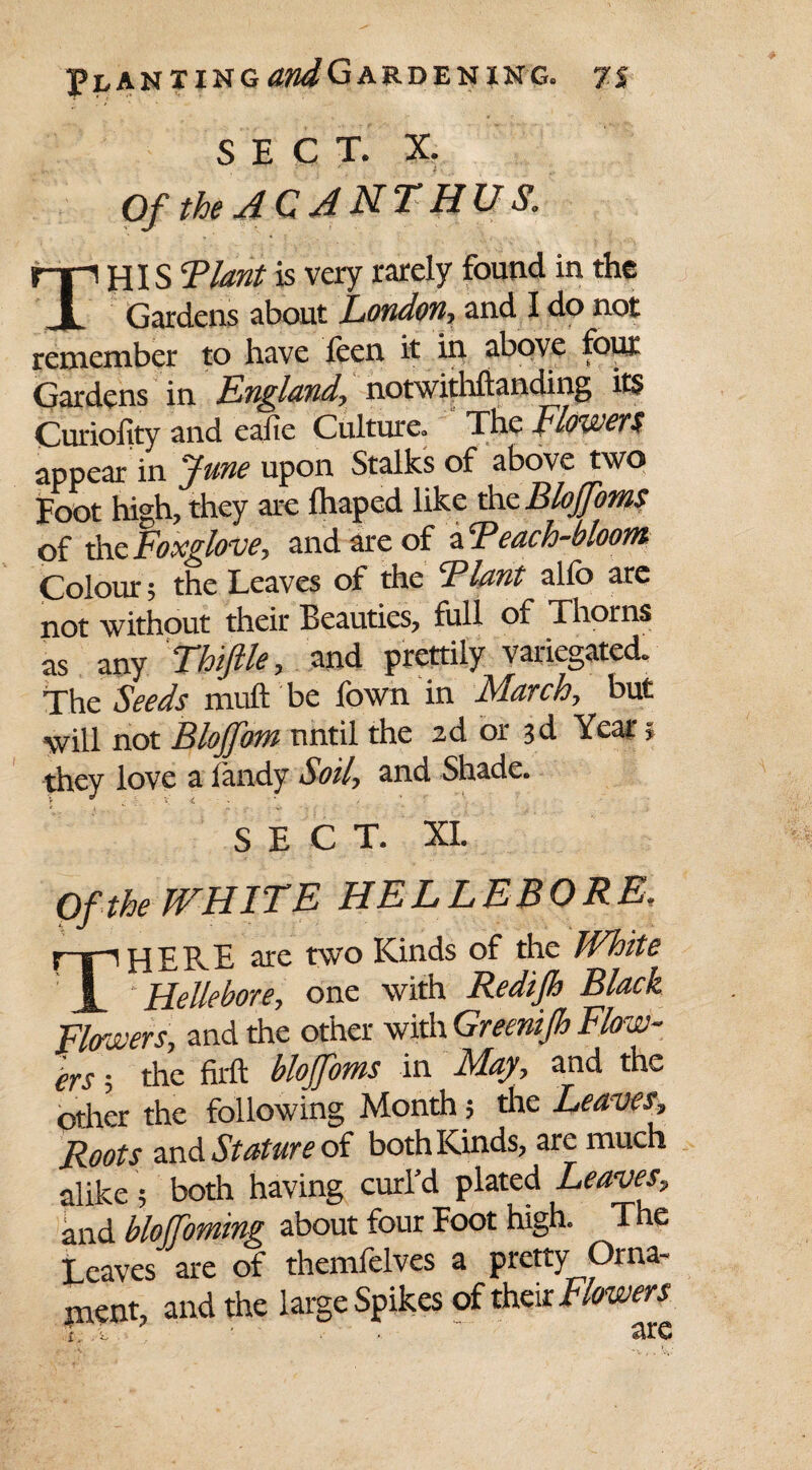 SECT. X. Of the A C A NT HU S, r~p HIS Plant is very rarely found in the JL Gardens about London, and I do not remember to have leen it in above four Gardens in England, notwithftanding its Curiofity and eafie Culture. The Flowers appear in June upon Stalks of above two Foot high, they are fhaped like the Blojfoms of the Foxglove, and are of FPeach-bloom Colour; the Leaves of the Plant alfo are not without their Beauties, full of Thorns as any Thtfile, and prettily variegated. The Seeds muft be fown in March, but will not Bloffom until the 2d or 3d Year» they love a iandy Soil, and Shade. SECT. XI. Of the WHITE HELLEBORE, THERE are two Kinds of the White Hellebore, one with Redijh Black Flowers, and the other with Greenijh Flow¬ ers ; the firft blojfoms in May, and the other the following Month -, the Leaves, Roots and Stature of both Kinds, arc much alike ; both having curl'd plated Leaves, and bloffoming about four Foot high. The Leaves are of themfelves a pretty Orna- jnent, and the large Spikes of their Flowers r tfirc