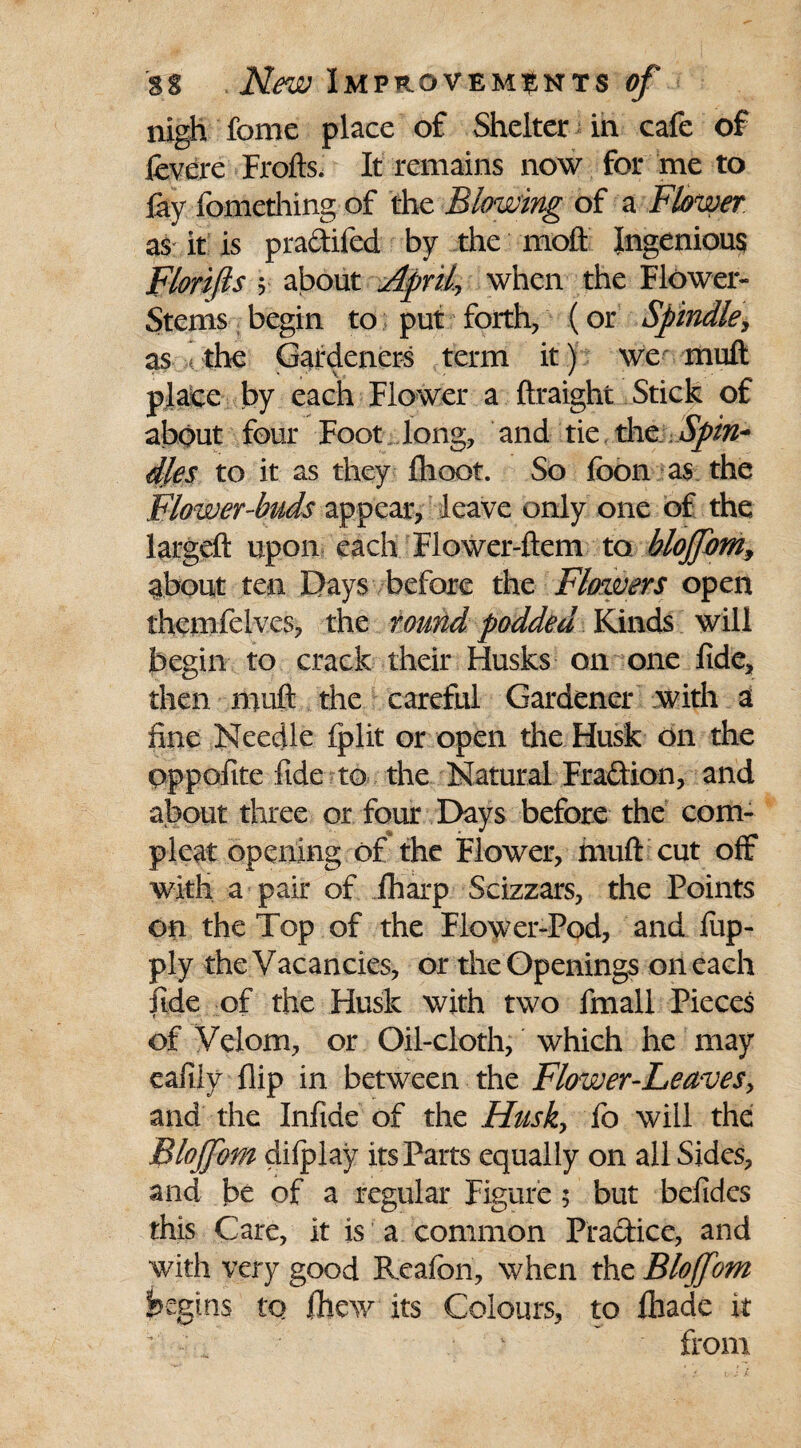 nigh feme place of Shelter in cafe of fevere Frofts. It remains now for me to fay fomething of the Blowing of a Flower as it is praftifed by the moll Ingenious Florifls v about April, when the Flower- Stems begin to put forth, (or Spindle, as «the Gardeners term it) we muft place by each Flower a ftraight Stick of about four Foot- long, and tie the Spin¬ dles to it as they fhoot. So fbon as the Flower-buds appear, leave only one of the largeft upon each Flower-ftem to blojfom, about ten Days before the Flowers open themfelves, the round podded Kinds will begin to crack their Husks on one fide, then muft the careful Gardener with a fine Needle fplit or open tire Husk on the pppofite fide to the Natural Fra&ion, and about three or four Days before the corn- pleat opening of the Flower, muft cut off with a pair of iharp Scizzars, the Points on the Top of the Flower-Pod, and fup- ply the Vacancies, or the Openings on each fide of the Husk with two fmall Pieces of Velom, or Oil-cloth, which he may eafiiy flip in between the Flower-Leaves, and the Infide of the Husk, fo will the Blojfom diipiay its Parts equally on all Sides, and be of a regular Figure $ but befides this Care, it is a common Pra&ice, and with very good Reafon, when the Blojfom begins to fhew its Colours, to fhade it from