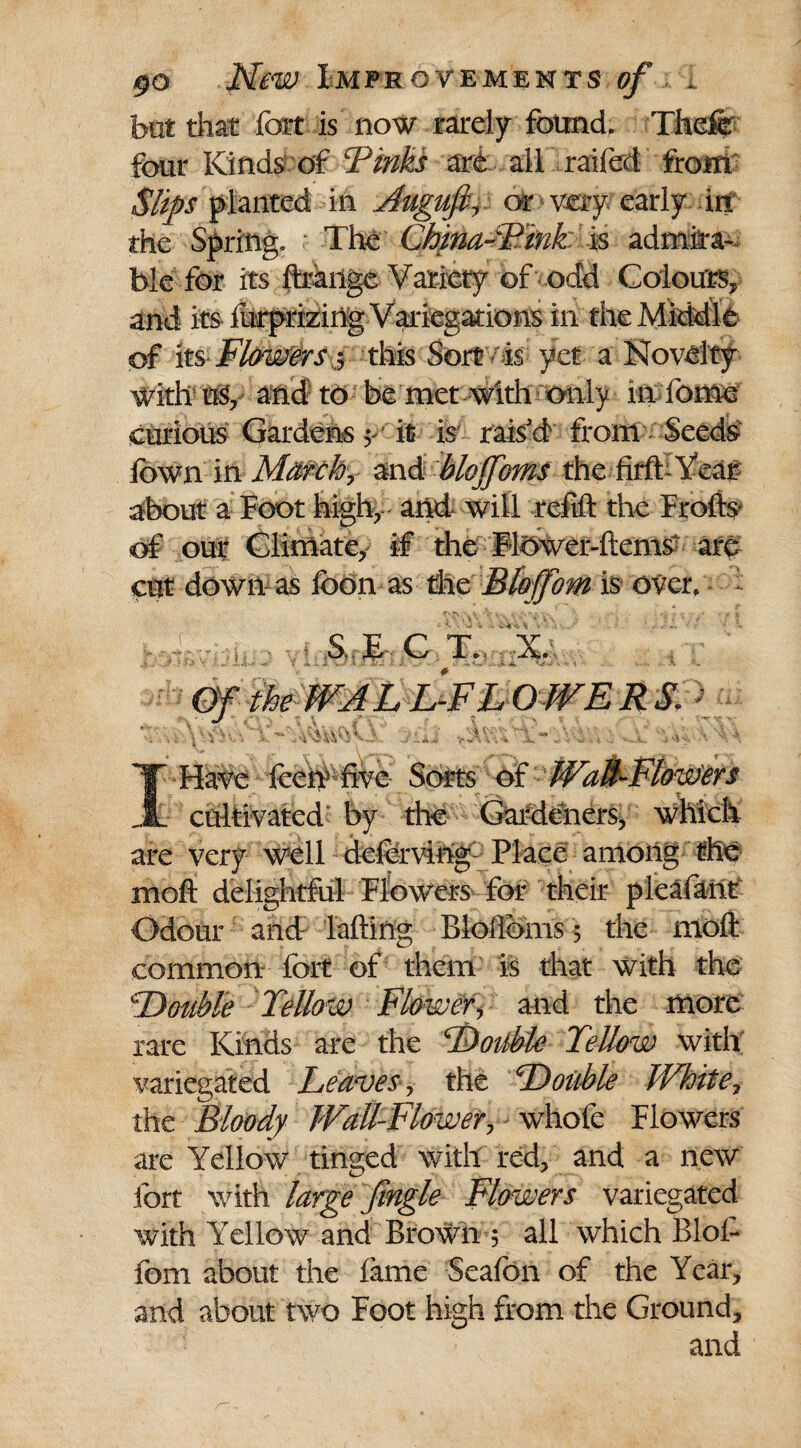 but that fort is now rarely found, Thefe four Kinds of Vinks are all railed from Slips planted in Auguft, or very early in the Spring. The China-Fink: is admira¬ ble for its ftrange Variety bf odd Colours, and its furprizirig Variegations in the Middle of its Flowersthis Sort is yet a Novelty With US, and-to be met with only in feme curious Gardens y it is rais'd from Seeds fown in March, and blojfoms the firft-Year about a Foot high, and will refill: the Frofts of our Climate, if the Ftower-ftems are cut down as foon as the Blojfom is over, ^ | S..;-E- C TV X. Of the WALL-FLOWERS. > I Have feen five Sorts of Wall-Flowers cultivated by the Gardeners, which are very w;ell deferving Place among the moft delightful Flowers for their pieafant Odour and Falling Blofibms 5 the moft common fort of them is that with the Double Fellow Flower, and the more rare Kinds are the Doiible Fellow with variegated Leaves, the Double White, the Bloody Wall-Flower, whofe Flowers are Yellow tinged with red, and a new fort with large fingle Flowers variegated with YTllow and Brown 5 all which Biol- fom about the fame Seafon of the Year, and about two Foot high from the Ground, and