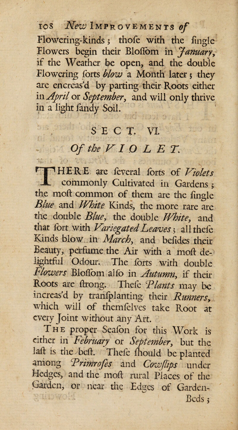 Flowering-kinds 5 thofe with the Engle Flowers begin their Blofiom in January, if the Weather be open, and the double Flowering forts blow a Month later $ they are encreas'd by parting their Roots either in April or September, and will only thrive In a light fandy Soil. SECT. VI. Of the VI O LET. HERE are feveral forts of Violets X commonly Cultivated in Gardens 5 the moft common of them are the ftngle Blue and White Kinds, the more rare are the double Blue, the double White, and that fort with Variegated Leaves5 allthefe Kinds blow in March, and befides their Beauty, perfume the Air with a moft de¬ lightful Odour. The forts with double Flowers Bloflom aifo in Autumn y if their Roots are ftroqg. Thefe !Plants may be increas'd by tranfplanting their Runnersy which will of themfelvcs take Root at every Joint without any Art. The proper Seafon for this Work is cither in February or September, but the iaft is the beft. Thefo (hould be planted among CP rimrofes and Cow flips under Hedges, and the moft rural Places of the Garden, or near the Edges of Garden- Beds 5
