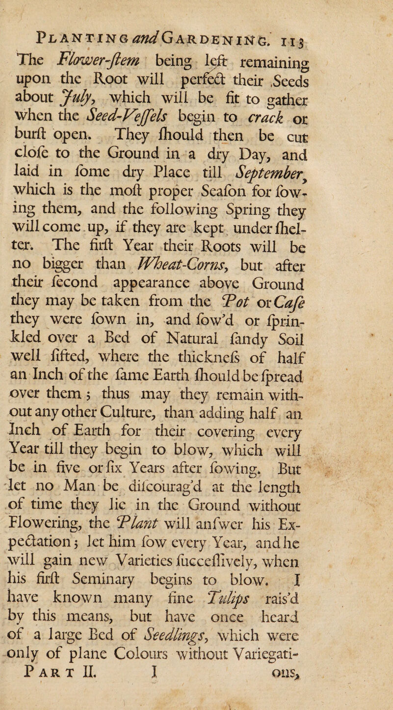 The Flower-ftem being left remaining upon the Root will perfed their .Seeds about July, which will be fit to gather when the Seed-Vejfels begin to crack or burft open. They lhould then be cut clofe to the Ground in a dry Day, and laid in fome dry Place till Septembery which is the moft proper Sealbn for low¬ ing them, and the following Spring they will come up, if they are kept under fhel- ter. The firft Year their Roots will be no bigger than Wheat-Corns, but after their fecond appearance above Ground they may be taken from the Tot or Cafe they were fown in, and low'd or fprin- kled over a Bed of Natural fandy Soil well lifted, where the thlcknels of half an Inch of the fame Earth lhould be Ipread over them ; thus may they remain with¬ out any other Culture, than adding half an Inch of Earth for their covering every Year till they begin to blow, which will be in five or fix Years after fowing. But let no Man be dilcourag’d at the length of time they lie in the Ground without Flowering, the Tlant will anfwer his Ex¬ pedition; let him fow every Year, and he will gain new Varieties fuccdlively, when his firlt Seminary begins to blow. I have known many fine Ttdips rais'd by this means, but have once heard of a large Bed of Seedlings, which were only of plane Colours without Variegati- P A R T II. I QU$> 1