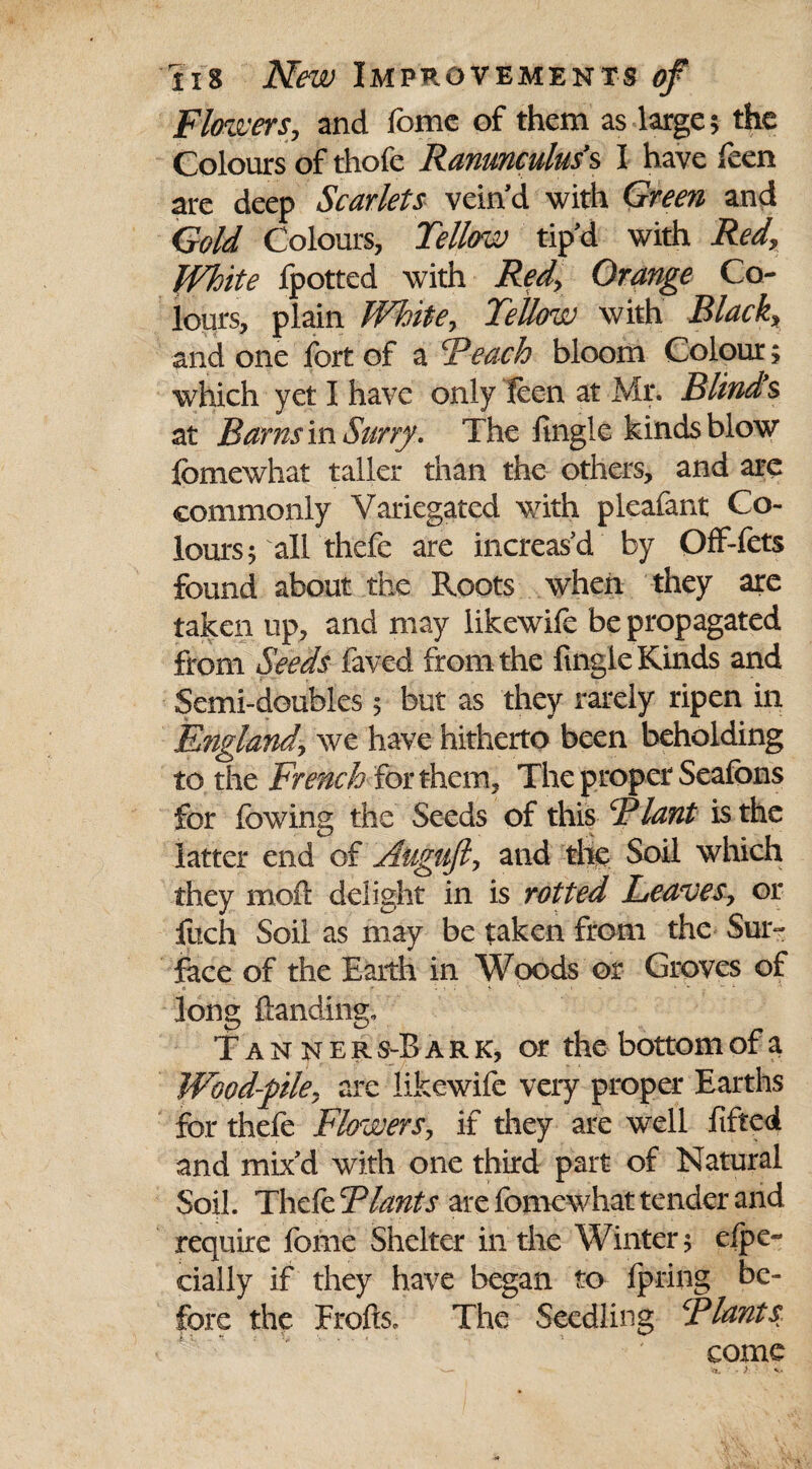 Flowers, and fomc of them as large$ the Colours of thofe Ranunculus's I have feen are deep Scarlets vein d with Green and Gold Colours, Tellow tip’d with Red, White Ipotted with Red, Orange Co¬ lours, plain White, Tellow with Black, and one fort of a Reach bloom Colour; which yet I have only feen at Mr. Blinds at Barns in SurryThe fingle kinds blow femewhat taller than the others, and are commonly Variegated with pleafant Co¬ lours; all thefe are increas’d by Off-fets found about the Roots when they are taken up, and may likewife be propagated from Seeds faved from the fingle Kinds and Semi-doubles 5 but as they rarely ripen in England, we have hitherto been beholding to the French for them, The proper Seafons for lowing the Seeds of this Plant is the latter end of Auguft, and the Soil which they moll delight in is rotted Leaves, or Rich Soil as may be taken from the Sur¬ face of the Earth in Woods or Groves of long Handing. Tanners-Bark, or the bottom of a Wood-pile, are likewife very proper Earths for thefe Flowers, if they are well fifted and mix’d with one third part of Natural Soil. Thefe Plants are fomewhat tender and require feme Shelter in the Winter 5 efpe- ciaily if they have began to ipring be¬ fore the FroftSc The Seedling Plants come
