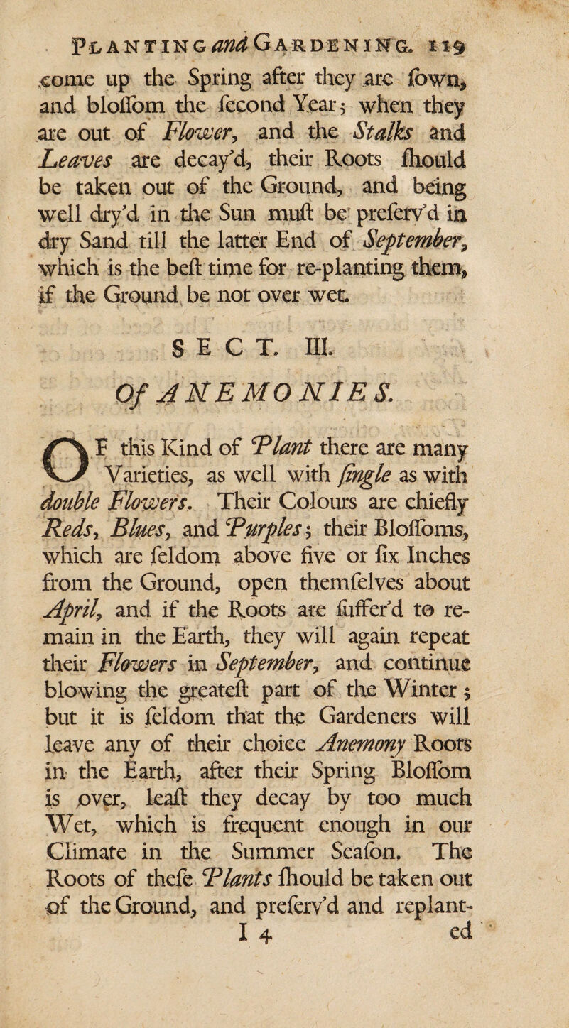 .come up the Spring after they are fown, and bloilom the fecond Year 5 when they are out of Flower, and the Stalks and Leaves are decay'd, their Roots fliould be taken out of the Ground, and being well dry’d in the Sun mult be prefervd in dry Sand till the latter End of September, which is the belt time for re-planting them, if the Ground be not over wet. SECT. III. Of ANEMONIES. F this Kind of 5Plant there are many Varieties, as well with (ingle as with double Flowers. Their Colours are chiefly Reds, Blues, and Burples-, their Bloffbms, which are feldom above five or fix Inches from the Ground, open themfelves about April, and if the Roots are fufferd to re¬ main in the Earth, they will again repeat their Flowers in September, and continue blowing the greateft part of the Winter ; but it is feldom that the Gardeners will leave any of their choice Anemony Roots in the Earth, after their Spring Blofibm is over, leafl: they decay by too much Wet, which is frequent enough in our Climate in the Summer Seafon. The Roots of theft Riants fhould be taken out of the Ground, and prefervd and replant- I 4 ed