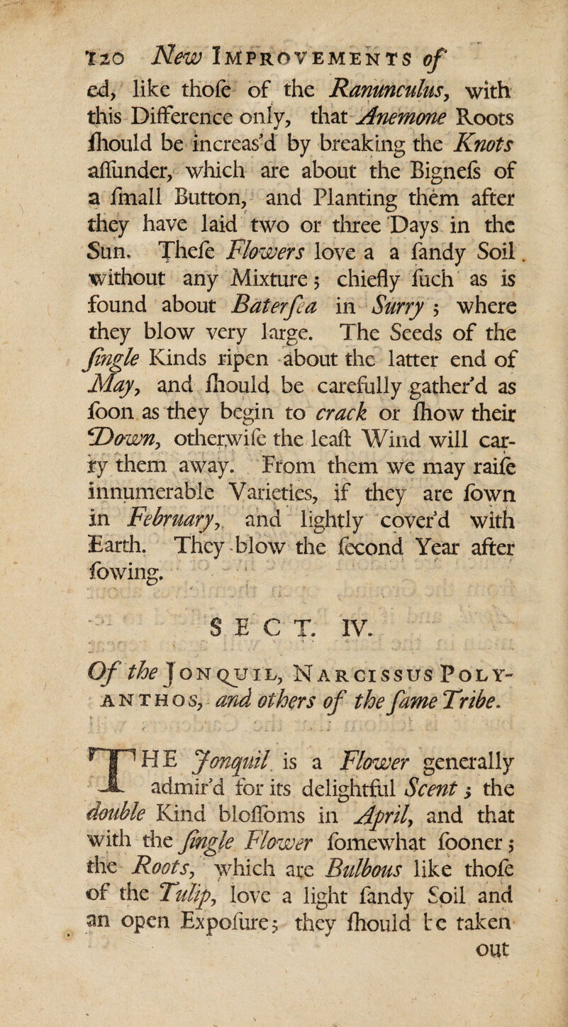 ed, like thofe of the Ranunculus, with this Difference only, that Anemone Roots fhould be increas'd by breaking the Knots afliinder, which are about the Bignefs of a fmall Button, and Planting them after they have laid two or three Days in the Sun. Thefe Flowers love a a Tandy Soil without any Mixture $ chiefly fuch as is found about Baterfea in Surry 5 where they blow very large. The Seeds of the Jingle Kinds ripen about the latter end of May, and fliould be carefully gather'd as foon as they begin to crack or fhow their SDown, otherwife the lead Wind will car¬ ry them away. From them we may raifc innumerable Varieties, if they are fown in jFebruary, and lightly cover'd with Earth. They blow the fecond Year after Towing. SECT. IV. Of the T on quit, NarcissusPoly- anthoSj and others of the fame Tribe. THE Jonquil, is a Flower generally admir'd for its delightful Scent; the double Kind bloflbms in April, and that with the Jingle Flower fomewhat Toonerj the Roots, which are Bulbous like thofe of the Tulip, love a light Tandy Soil and an open Expofure; they fhould te taken out