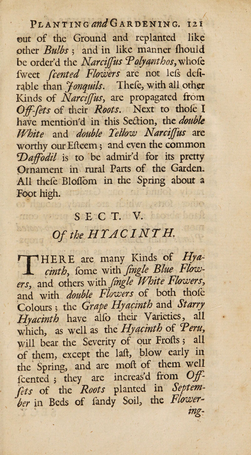 ©ut of the Ground and replanted like other Bulbs ; and in like manner Ihould be order’d the Narcijfus Toly ant hos, whofe fweet feented Flowers are not lefs deli- rable than Jonquils. Thefe, with all other Kinds of Narcijfus, are propagated from Off-fets of their Roots. Next to thole I have mention’d in this Section, the double White and double Fellow Narcijfus are worthy our Efteem; and even the common Daffodil is to be admir’d for its pretty Ornament in rural Parts of the Garden. All thefe Blolfom in the Spring about a Foot high. SECT. V. Of the HTACINTH. THERE are many Kinds of Hya¬ cinth, fome with fingle Blue Flow¬ ers, and others with fingle White Flowers, and with double Flowers of both thole Colours; the Grape Hyacinth and Starry Hyacinth have alfo their Varieties, all which, as well as the Hyacinth of Teru, will bear the Severity of our Frofts 5 all of them, except the laft, blow early in the Spring, and are molt of them well feented ; they are increasd from Off- fets of the Roots planted in Septem¬ ber in Beds of fandy Soil, the Flower- an rt