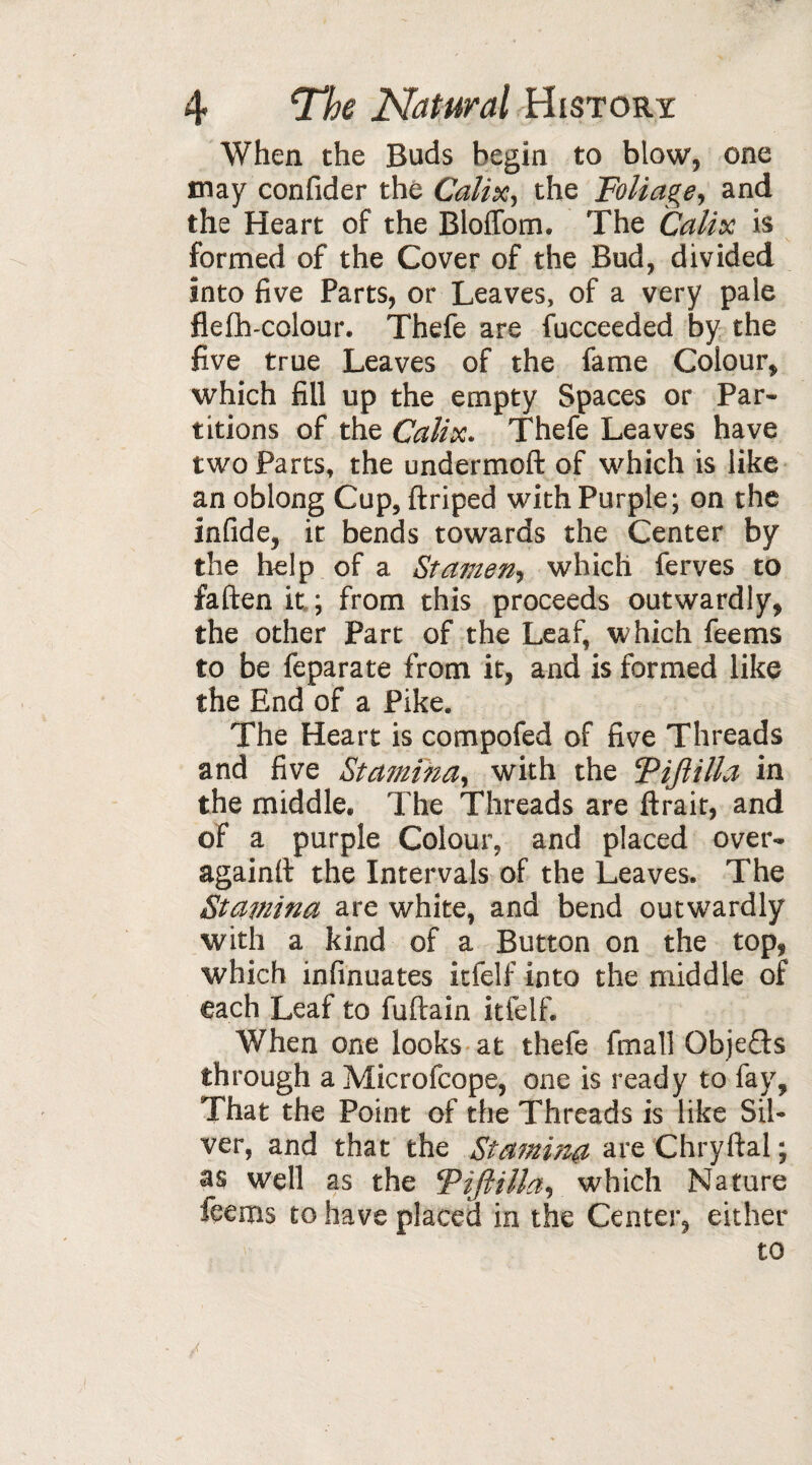 When the Buds begin to blow, one may confider the Calixy the Foliage, and the Heart of the Bloffom. The Calix is formed of the Cover of the Bud, divided into five Parts, or Leaves, of a very pale flelh-colour. Thefe are fucceeded by the five true Leaves of the fame Colour, which fill up the empty Spaces or Par¬ titions of the Calix. Thefe Leaves have two Parts, the undermoft of which is like an oblong Cup, ftriped with Purple; on the infide, it bends towards the Center by the help of a Stamen, which ferves to fallen it ; from this proceeds outwardly, the other Part of the Leaf, which feems to be feparate from it, and is formed like the End of a Pike. The Heart is compofed of five Threads and five Stamina, with the Tijlilla in the middle. The Threads are lirait, and of a purple Colour, and placed over- againll the Intervals of the Leaves. The Stamina are white, and bend outwardly with a kind of a Button on the top, which infinuates itfelf into the middle of each Leaf to fuftain itfelf. When one looks at thefe final! Objects through aMicrofcope, one is ready to fay, That the Point of the Threads is like Sil¬ ver, and that the Stamina are Chryftal ; as well as the Viftitta, which Nature feems to have placed in the Center, either to