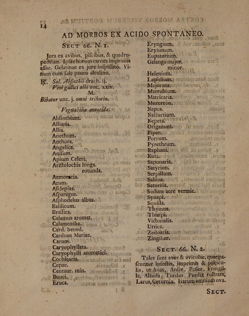 g. eo8gd0u A2TX*XÓ25 Sal. Alfathis dràch. ij. UE igual. e amscida Alliaria. Alia. Anethum. Anthora. Angelica. ^. Anifum. ^ - : ,.Apium Celer; — Ariftolochia longa. ^ rotunda. LT Y £ Armorecia. Arum. Afclepias.- .Afparagus. Afphodelus: álbis.- Balilicum. Braflica. -Calamus argmet. ;h . Calamentha: T Carduus Mariae. Carum i^ 7? Caryophyllata. | , Caryophylli. apgpagigi - Axnchlgagife;dis s3i5619* ci Cepae. E voctid i 5 caret 2g! da ilios » galt Erylimum. 3 Eupatorium. Galanga major. | | 9131 minor. Helenium. - M , Lepidium;; ': 3260. 1008 - TE Majorara.:: I27 bn ahis M m /o Marrübiumic 09500 2 Matricariaz-^ 095 o8 Mezereón;; 25: ou Woo. Napus. qur Nafturtium. n Ne eta; m aliis! Y [d » - E Origanurni. iD Dr sna I:Bipenodi 2013601 .600 )? risp Porrum. Jit L9 tula | Xbrvoo sutiouut arr Raphani: £o 5miag .g € Ruta 5t i ,023 ia uin$ .0 n 'Sapionatido ^ x0 is: | Tof Sab rioir X5 asübodrmos a5 ttal i Seryilinas X Us » Sabinai: L .intogne3 an ' * h Satureia.: num .. j EO d :;Sedum acre vermic, ] q Syndpio 2217 (&amp;8350n ^ Squilla. H  yínus. Thiafpi. -- iX Victorialis. ^...03 df»alz- 3» 2f] Urtica. ; Hisl Zedoaría;: i500 95d os oS xri 66.. N. 2« Tales funt aves &amp; aviculàe; düléba- fcuntur in(e&amp;bis, imprimis &amp;.pifcicu- lis, ut;Anas,, Ánfen, Paler, kringil- la, Aláudà ;. 'Turdus,: edit roftráta, Larus, Coturnix. Harum emniusn ova. Sa