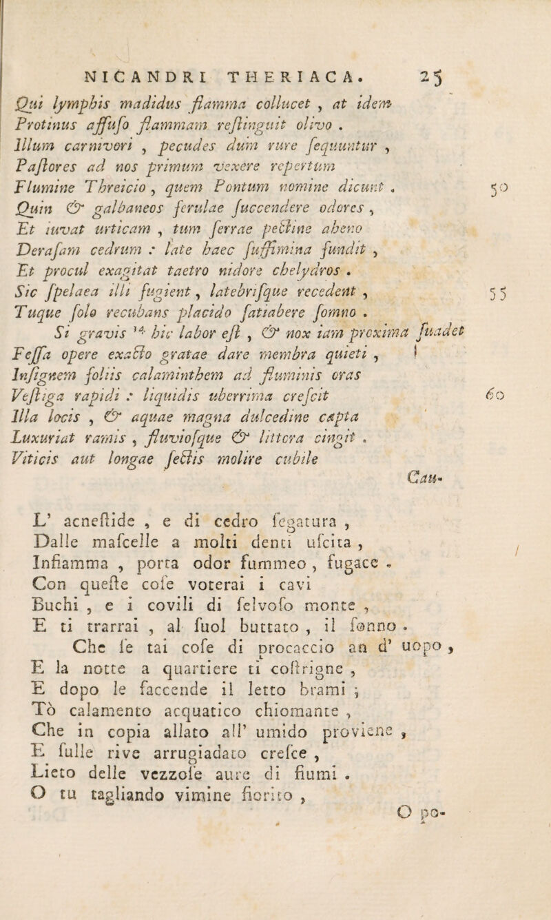 Qui lymphis madidus fiamma collucet , at idem Protinus affufo flammam refiinguit olivo . Illum carnivori , pecudes dum rure fequuntur , Paftores ad nos primum vexere repertum Flumine Threicio , quem Pontum nomine dicunt e 50 Quin & galbaneos ferulae Juccendere odores , Et iuvat urticam , tum ferrae pethne aher.o Derafa?n cedrum : late haec faffimi na fundit 5 Et procul exagitat taetro rudore chelydros . Sic fpelaea illi fugient, latebnfque recedent , 5 5 Tuque folo reeuhans placido fatiabere forano . Si gravis ’4 hic labor e fi , & nox iarn proxima fu ad et Feffa opere exabto gratae dare membra quieti , ! lnfignem foliis calaminthem ad fluminis oras Vefiiga rapidi : liquidis uberrima crefcit 60 Illa locis , & aquae magna dulcedine capta Luxuriat ramis , fluviofque & littera cingit > Viticis aut longae feffiis molire cubile Cau- L’ acneilide , e di cedro fegatura , Dalle maicelle a molti demi uicita , Infiamma , porra odor fammeo , fugace « Con quelle cole voterai i cavi Buchi , e i covili di fcivofo monte , E ti trarrai , al fuol buttato , il formo * Che le tai cofe di procaccio an d’ uopo , E la notte a quartiere ti coftrigne ? E dopo le faccende il letto brami , Tò calamento acquatico chiomante , Che in copia allato all’ umido proviene , E falle rive arrugiadato creice , Lieto delle vczzoi'e aure dì fiumi . O tu tagliando vimine fiorito , O po-