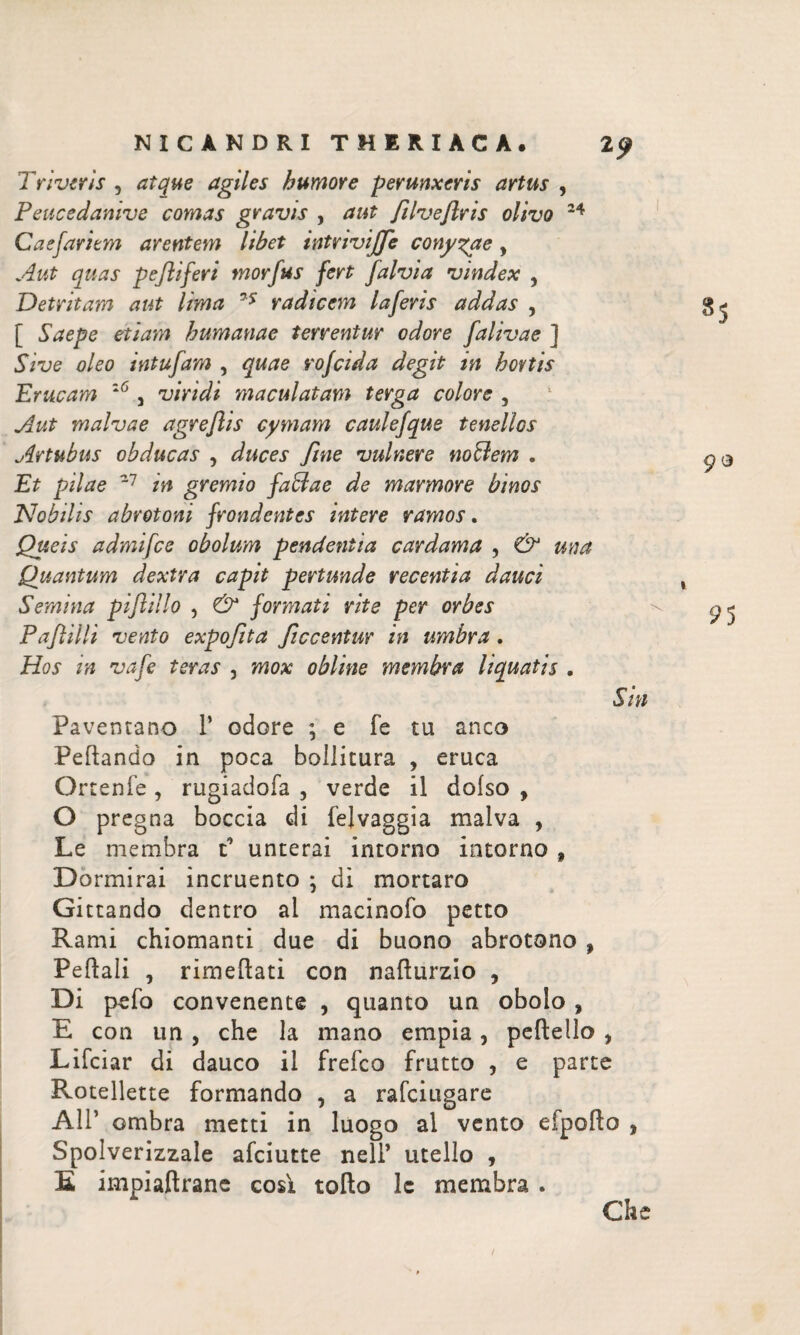Triveris , atque agiles humore perunxeris artus , Peucedanive comas gravis , aut filveftris olivo 24 Caefariem arentem libet intrivijje conyzae, Aut quas pefliferi morfus fert falvia vindex , Detritam aut lima ?5’ radicem laferis addas , [ Saepe etiam humanae terrentur odore falivae ] oleo intufam , quae rofeida degit in hortis Erucam 16 3 viridi maculatam terga colore , malvae agrefhs cymam caulefque tenellos Artubus obducas 3 duces fine vulnere nofflem . Et pilae 27 /V# gremio fafflae de marmore binos Nobilis abrotoni frondentes intere ramos. Que is admifee obolum pendentia cardam a , & una Quantum dextra capit pertunde recentia dauci Semina piflillo , & formati rite per orbes Pafiilli vento expofita ficcentur in umbra . Hos in vafe teras , mox obline membra liquatis , Sin Paventano Γ odore ; e fe tu anco Peftando in poca bollitura , eruca Ortenfe , rugiadofa , verde il doiso , O pregna boccia di felvaggia malva , Le membra t* unterai intorno intorno 9 Dormirai incruento ; di mortaro Gittando dentro al macinofo petto Rami chiomanti due di buono abrotono , Peftali , rimeflati con nafturzio , Di pelo convenente , quanto un obolo , E con un 3 che la mano empia3 peftello 3 Lìfciar di dauco il frefeo frutto , e parte Rotellette formando , a rafeiugare Α1Γ ombra metti in luogo al vento eipoflo , Spolverizzale afeiutte nell’ utello , E impiaftranc così tolto le membra . Che 90 95 1