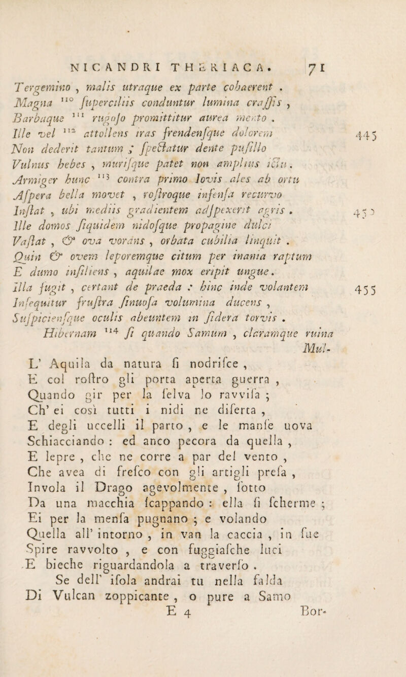 Tergemino , malis utraque ex parte cohaerent . Maqna 110 jupercilus conduntur lumina eraJfis , Barbaque 111 rugajo promittitur aurea merto. Ille vel 112 attollens iras frendenfque dolorem Non dederit tantum i fpe hiatur dente pufillo Vulnus hebes , murifque patet non amplius iclu. Armiger hunc 113 contra primo Jovis ales ab ortu Ajper a bella movet , rojlroque tnfenfa recurvo Inflat 5 ubi medus gradientem ad j pexerit agris » Ille domos flquidem nidofque propagine dulci· Vadat , & ova vorans , orbata cubilia linquit . Quin & ovem leporemque citum per mania raptum E dumo mfiliens , aquilae mox eripit ungue. Illa jugit , certant de praeda : hinc inde volantem Infequitur fruflra flnuofa volumina ducens , Sujpicienfque oculis abeuntem m fiderà torvis , Hibernam 114 fi quando Samum , claram que ruina MuU L’ Aquila da natura fi nodrifee , E col roftro gli porta aperta guerra , Quando gir per la felva io ravvila ; Ch’ ei così tutti i nidi ne difetta , E degli uccelli il parto , e le manie uova Schiacciando : ed anco pecora da quella , E lepre , che ne corre a par dei vento , Che avea di frefco con gii artigli prefa , Invola il Drago agevolmente , lotto Da una macchia icappando : ella fi fcherme ; Ei per la menfa pugnano ; e volando Quella all’ intorno , in van la caccia , in fu e Spire ravvolto , e con fuggiafche luci E bieche riguardandola a traverio . Se dell' ifola andrai tu nella falda Di Vulcan zoppicante , o pure a Samo E 4 445 45 5 455 Bor-