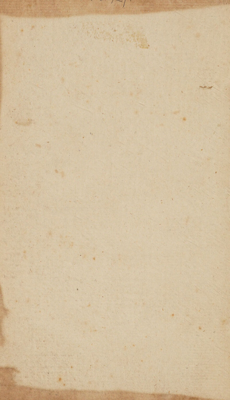 \ ' t l i . ' •- * r i i v < * ■ '