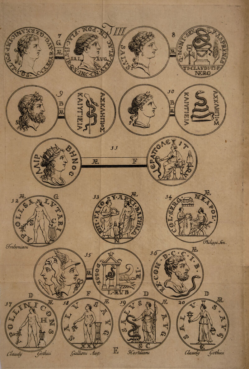 (/ctfuu (fallumi <-iug. Gothia