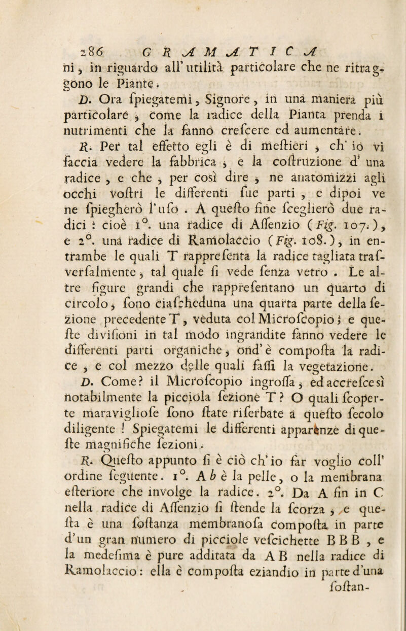 ni, in riguardo all’utilità particolare che ne ritrag¬ gono le Piante * D. Ora fpiegatemi, Signore, in una maniera più particolare , come la radice della Pianta prenda i nutrimenti che la fanno crefcere ed aumentare. R. Per tal effetto egli è di mertieri * eh' io vi faccia vedere là fabbrica * e la coflriizione d’ una radice , e che , per così dire y ne anatomizzi agli occhi voftri le differenti file parti , e dipoi ve ne lpiegherò l’ufo . Â quello fine fceglierò due ra- dici t cioè i°. lina radice di Affenzio ( Fig. 107O, e 20. una radice di Rantolacelo (Fig. 108.), in en¬ trambe le quali T rapprefenta là radice tagliata traf- verfalmente * tal quale fi vede fenza vetro . Le al¬ tre figure grandi che rappreferttano un quarto di circolo* fono ciafeheduna una quarta parte dellafe- Zione precedente T, veduta col Microfcopio} e que¬ lle divifioni in tal mòdo ingrandite fanno vedere le differenti parti organiche * ortd’ è comporta la radi¬ ce , e col mezzo delle quali falli la vegetazione. D. Come? il Microfcopio ingroffa * edaccrefcesì notabilmente la picciola fezione T? O quali {coper¬ te maravigliofe fono fiate nferbate a quello fecolo diligente ! Spiegatemi le differenti apparènze di que¬ lle magnifiche fezioni . R- Qiìefto appunto fi è ciò eh’ io far voglio coll’ ordine feguente. i°. A b è la pelle, o la membrana eilenore che involge la radice. 20. Da A fin in C nella radice di Affenzio fi flende la feorza * e que¬ lla è una foftanza mem brano fa comporta in parte d’un gran numero di picciole vefcichette BBB , e la medefima è pure additata da AB nella radice di Ramolaccio: ella è comporta eziandio in parte duna folla n-