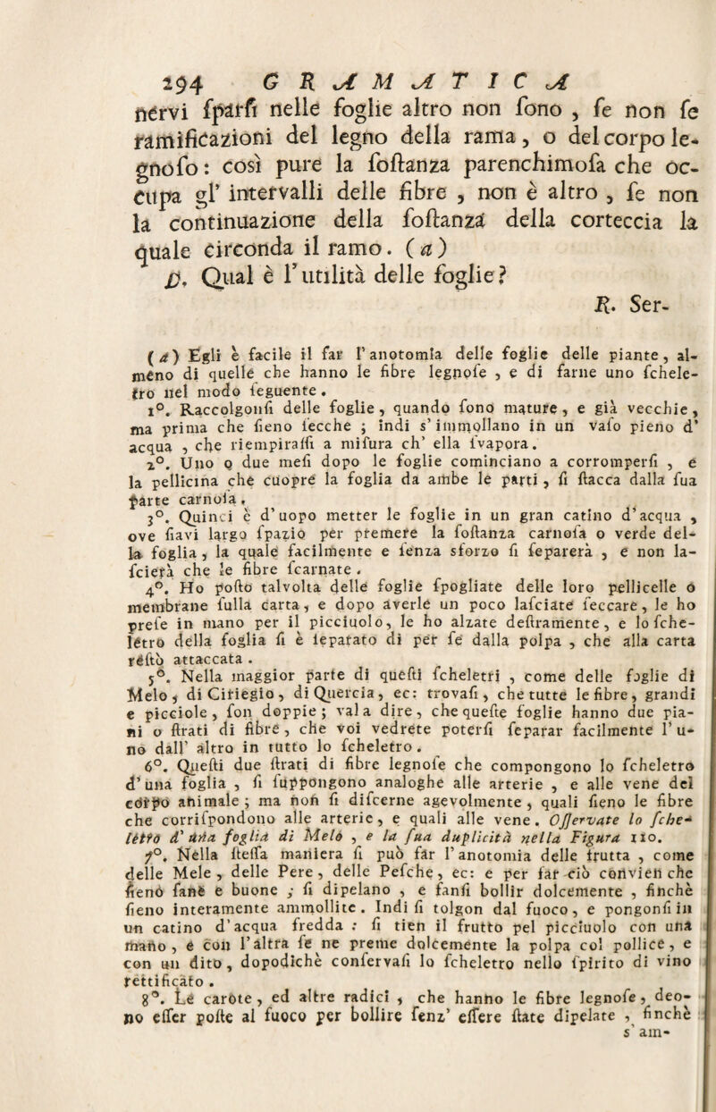 nèrvi fffôHï nelle foghe altro non fono , fe non fe ramificazioni del legno della rama, o del corpo le- gnofo : così pure la foftanza parenchimofa che oc¬ cupa gl* intervalli delle fibre , non è altro , fe non la continuazione della foftanza della corteccia la quale Circonda il ramo. ( a ) £}, Qual è ft utilità delle foglie? R. Ser- (d) Egli e facile il far l’anototnla delle foglie delle piante, al¬ méno di quelle che hanno le fibre legnofe , e di farne uno fchele- (ro nel modo ieguente. i°. Raccolgonfi delle foglie , quando fono mature , e già vecchie , ma prima che fieno i'ecche ; indi s’immollano in un vaio pieno d’ acqua , che riempiraffi a mifura eh’ ella ivapora. x°. Uno o due mefi dopo le foglie cominciano a corromperli , e la pellicina che cuopre la foglia da ambe le parti, fi fiacca dalla fua •parte camola, 3°. Quinci è d’uopo metter le foglie in un gran catino d’acqua , ove fiavi largo fpazio per premere la foftanza camola o verde del¬ la foglia, la quale facilmente e lenza sforzo fi feparerà , e non la- feietà che le fibre fcarnate . 4°. Ho pofto talvolta delle foglie fpogliate delle loro pelliccile o membrane fulla carta, e dopo averle un poco lafciate leccare, le ho prefe in mano per il picciuolo, le ho alzate deliramente, e lo fche- létro della foglia fi è iepatato di per fe dalla polpa , che alla carta réftò attaccata . 5°. Nella maggior parte di quefti fcheletri , come delle foglie di Melo j diCiriegio, di Quercia, ec: trovafi , che tutte le fibre, grandi e picciole , fon doppie; vaia dire, che quelle foglie hanno due pia¬ ni o ftrati di fibre , che voi vedrete poterli fe parar facilmente 1’ u- no dall’ altro in rutto lo fcheletro. 6°. Quelli due ftrati di fibre legnoie che compongono Io fcheletro d’una foglia , fi fuppongono analoghe alle arterie , e alle vene del cdrpo animale; ma non fi difeerne agevolmente, quali fieno le fibre che corrifpondono alle arterie, e quali alle vene. OJJervate lo f'che•* lètfó d' ària foglia di Melo , e la fua duplicità nella Figura rio. f°. Nella ftefta maniera fi può far l’anotomia delle trutta , come delle Mele, delle Pere, delle Pefche, ec: e per far ciò convieli che fienò fané e buone ; fi dipelano , e fanti bollir dolcemente , finché fieno interamente ammollite. Indi fi tolgon dal fuoco, e pongonfi in un catino d’acqua fredda ; fi tien il frutto pel picciuolo con una mano, e con l’altra te ne preme dolcemente la polpa col pollice, e con un dito, dopodiché confervafi lo fcheletro nello fpirito di vino rettificato . 8°. té carote, ed altre radici , che hanho le fibre legnofe, deo- jio efler potte al fuoco per bollire fenz’ elfere fiate dipelate , finché s' am-