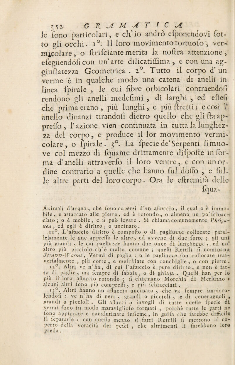 le fono particolari, e ch’io andrò efponendovi fot- to gli occhi. i°. Il loro movimento tortilo fo , ver¬ micolare, o Uri Telante merita la noftra attenzione, efeguendofi con uh arte dilicatiûima, e con una ag- giuftatezza Geometrica . 2°. Tutto il corpo <T un verme è in qualche modo una catena di anelli in linea fpirale , le cui fibre orbicolari contraendofì rendono gli anelli medefimi , di larghi , ed efìefi che prima erano , più lunghi, e più {fretti ; e così T anello dinanzi tirandoli dietro quello che gli fta ap¬ preso , 1* azione vien continuata in tutta la lunghez¬ za del corpo, e produce il lor movimento vermi¬ colare, o fpirale. 30. La fpecie de’Serpenti fi muo¬ ve col mezzo di fquame drittamente difpofte infor¬ ma d’anelli attraverfo il loro ventre, e con un or¬ dine contrario a quelle che hanno fui dolio , e fili¬ le altre parti del loro corpo. Ora le eftremità delle fqua- Animali d’acqua, che fono coperti d’un artuccio, il qual o è immo¬ bile, e attaccato alle pietre, ed è rotondo, o almeno un po’fchiac-- eiato 3 o è mobile, e fi può levare . Si chiama comunemente P hrìga- nea , ed egli è diritto , o uncinato . ii°, L’altuccio diritto è comporto o di pagliuzze collocate paral¬ lelamente le une apprelfo le altre , ed avvene di due forte 3 gli uni piò grandi , le cui pagliuzze hanno due once di lunghezza , ed un* altro più picciolo eh’è molto comune ; quefti Rettili fi nominano Straw-Worms, Vermi di paglia ; o le pagliuzze fon collocate traf- verlalmente , più corte , e mefehiate con conchiglie , o con pietre . iz°. Altri ve n'ha, di cui l’aftuccio è pure diritto, e non è fat¬ to di paglie, ma fempre di fabbia , o di ghiaja . Quelli han per lo più il loro artuccio rotondo 3 fi chiamano Morchia di Merluzzo : alcuni altri iono più compreifi, e più fchiacciati . 130- Altri hanno un aftuccio uncinato , che va fempre impicco- lendofi : ve n' ha di neri , grandi o piccioli , e di cenerognoli , grandi o piccioli . Gli artucci o invogli di tutte quelle fpecie di vermi fono in modo maravigliofo formati , poiché tutte le parti ne fono appiccate e conglutinate inrteme, in guifa che farebbe difficile Si lepararle : con quello mezzo s'i fatti Rettili fi mettono al co¬ perto della voracità dei pefei , che altrimenti li farebbono lora j'reda .