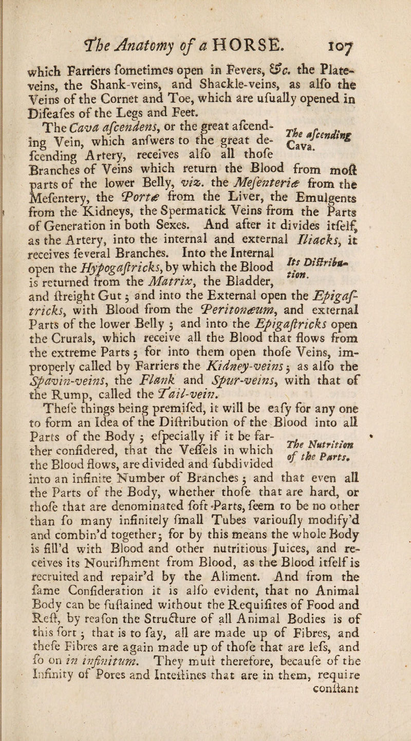 which Farriers fometimes open in Fevers, &c. the Plate- veins, the Shank-veins, and Shackle-veins, as alfo the Veins of the Cornet and Toe, which are ufually opened in Difeafes of the Legs and Feet. The Cava afcendens, or the great afcend- . f ing Vein, which anfwers to the great de- Cava feending Artery, receives alfo all thofe Branches of Veins which return the Blood from moft parts of the lower Belly, viz. the Mefenteri<e from the Mefentery, the Porte from the Liver, the Emulgents from the Kidneys, the Spermatick Veins from the Parts of Generation in both Sexes. And after it divides itfelf^ as the Artery, into the internal and external Iliacks, it receives feveral Branches. Into the Internal open the Hypogaftricks, by which the Blood i*?ft**rt**m is returned from the Matrix, the Bladder, a and (height Gut $ and into the External open the Epigaf- tricks, with Blood from the Peritonaeum, and external Parts of the lower Belly $ and into the Epigaflricks open the Crurals, which receive ail the Blood that flows from the extreme Parts 5 for into them open thofe Veins, im¬ properly called by Farriers the Kidney-veins 5 as alfo the Spavin-veins, the Flank and Spur-veins, with that of the Rump, called the Eail-vein. Thefe things being premifed, it will be eafy for any one to form an Idea of the Diftribution of the Blood into all Parts of the Body $ efpecially if it be far- ther confidered, that the VefTels in which the Blood flows, are divided and fubdivided ° ' 0r s* into an infinite Number of Branches • and that even all the Parts of the Body, whether thofe that are hard, or thofe that are denominated foft Tarts, feem to be no other than fo many infinitely fimall Tubes varioufly modify’d and combin’d together 5 for by this means the whole Body is fill’d with Blood and other nutritious Juices, and re¬ ceives its Nourifhment from Blood, as the Blood itfelf is recruited and repair’d by the Aliment. And from the fame Confideration it is alfo evident, that no Animal Body can be fufiained without the Requifites of Food and Refl, by reafon the Structure of all Animal Bodies is of th is fort $ that is to fay, all are made up of Fibres, and thefe Fibres are again made up of thofe that are lefs, and fo on in infinitum. They mull therefore, becaufe of the Infinity oi Pores and I me dines that are in them, require confiant