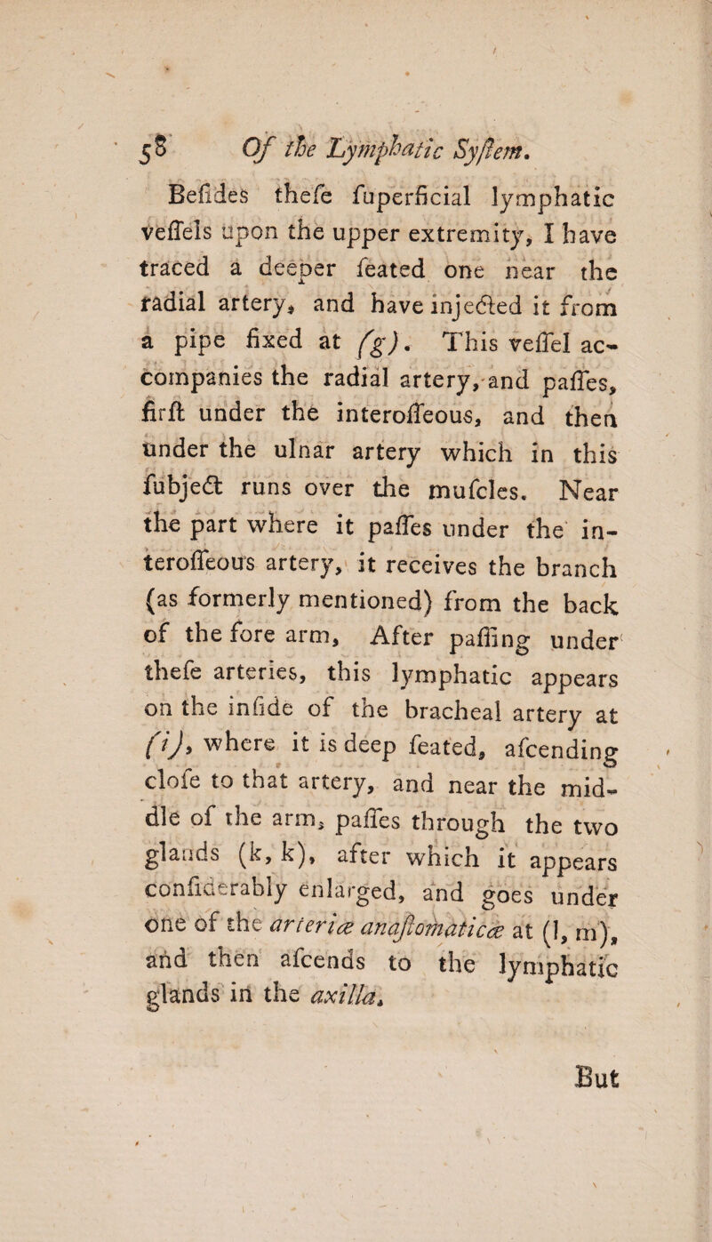 Befides thefe fuperficial lymphatic veffels upon the upper extremity, I have traced a deeper feated one near the radial artery, and have inje&ed it from a pipe fixed at fg). This reifel ac¬ companies the radial artery, and paffes, firfb under the interoffeous, and then tinder the ulnar artery which in this fubjedt runs over the mufcles. Near the part where it paffes under the in¬ teroffeous artery, it receives the branch (as formerly mentioned) from the back of the fore arm. After paffing under1 thefe arteries, this lymphatic appears on the infide of the bracheal artery at (i), where it is deep feated, attending clofe to that artery, and near the mid¬ dle of the arm, paffes through the two glands (k, k), after which it appears confiderably enlarged, and goes under one of the arteries anafiomaticee at (1, m), aha then attends to the lymphatic glands in the axilla, But