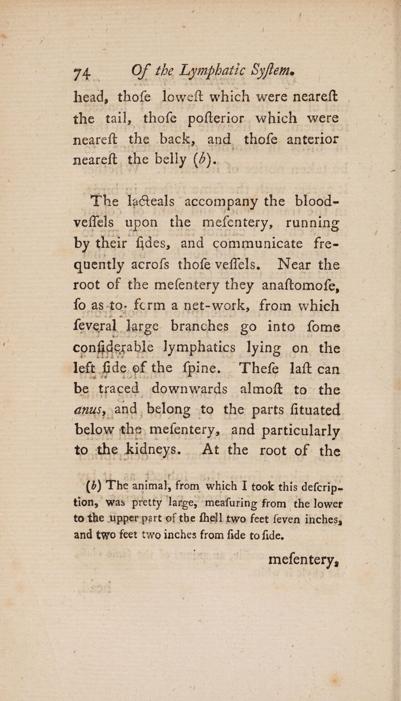 ! 74 Of the Lymphatic Syjlem• head, thofe lowed: which were neareft the tail, thofe pofterior which were neareft the back, and thofe anterior ’ ' ' ■ t neareft the belly {b). The ladleals accompany the blood- veffels upon the mefentery, running by their tides, and communicate fre¬ quently acrofs thofe veftels. Near the root of the mefentery they anaftomofe, fo as to* form a net-work, from which feveral large branches go into fome considerable lymphatics lying on the left fide of the fpine. Thefe laft can be traced downwards almoft to the anus, and belong to the parts fituated below the mefentery, and particularly to the kidneys. At the root of the (£) The animal, from which I took this defcrip- tion, was pretty large, meafuring from the lower to the upper part of the fhell two feet feven inches, and two feet two inches from fide to fide. mefentery^