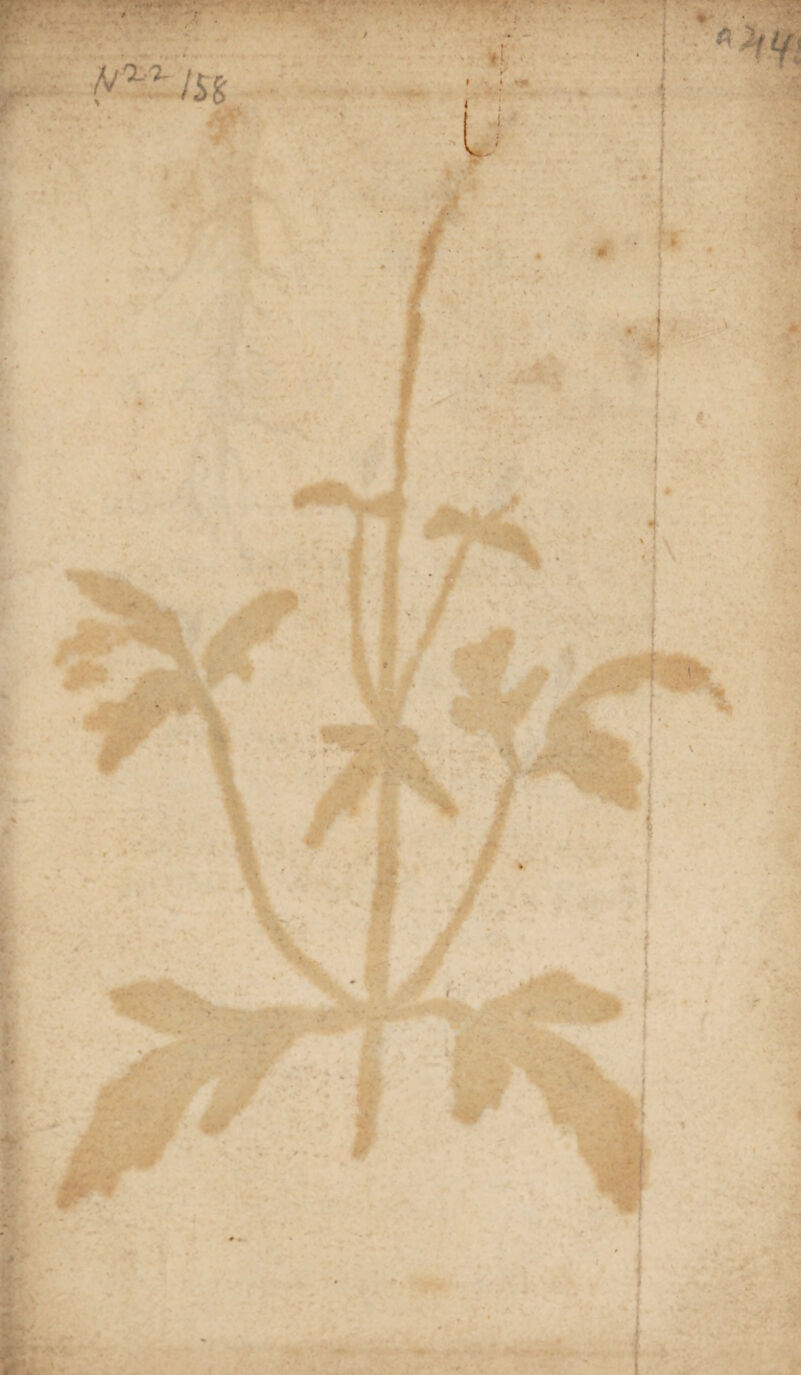 / /Vx- g ■ • ~ •.; K » i »• > V ' /