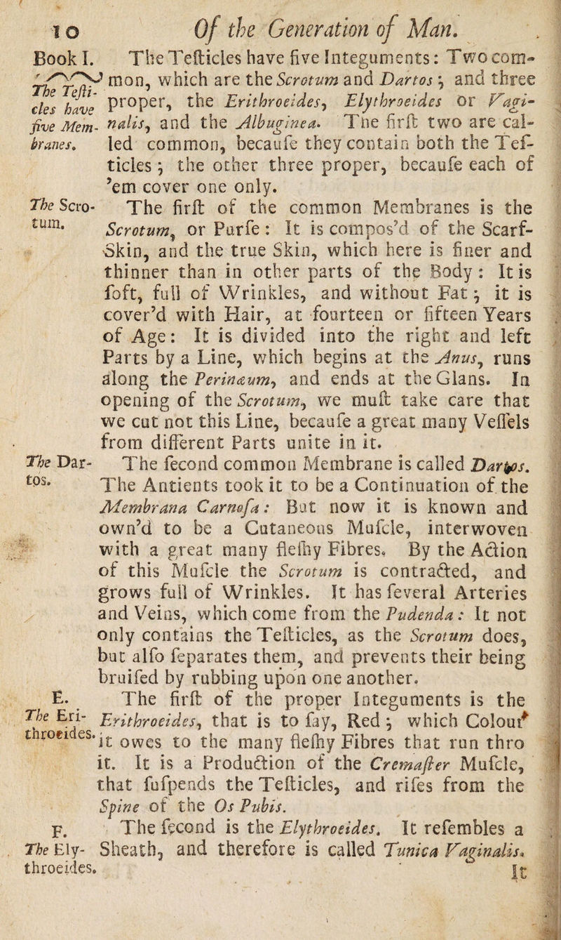 branes. The Scro¬ tum. i o Of the Generation of Man. Book I. The Tefticies have five Integuments: Two com~ tCtIv* mon’ are the Scrotum and Dartos *, and three cles have Pr0PeG the Erithroeides-, Elythroeides Or Vagi- five Mem- nalis, and the Albuginea* Tiie firft two are cal¬ led common, becaufe they contain both the Tel- tides; the ocher three proper, becaufe each of ’em cover one only. The firit of the common Membranes is the Scrotum, or Purfe : It is compos'd of the Scarf- Skin, and the true Skin, which here is finer and thinner than in other parts of the Body: It is foft, full of Wrinkles, and without Fat} it is cover’d with Hair, at fourteen or fifteen Years of Age: It is divided into the right and left Parts by a Line, which begins at the Anus, runs along the Perinaum, and ends at the Gians. In opening of the Scrotum, we mull take care that we cut not this Line, becaufe a great many Veflels from different Parts unite in it. The fecond common Membrane is called Darios. The Antients took it to be a Continuation of the Membrana Car no fa: But now it is known and own’d to be a Cutaneous Mufcle, interwoven with a great many flelhy Fibres, By the Adiou of this Mufcle the Scrotum is contraded, and grows full of Wrinkles, It has feveral Arteries and Veins, which come from the Pudenda: It not only contains the Tefticies, as the Scrotum does, but alfo feparates them, and prevents their being bruifed by rubbing upon one another. The firft of the proper Integuments is the The Eri- Erithrocides, that is to fay, Red \ which Colour* cnroei es.jt owcs t0 tfle many flelhy Fibres that run thro it. It is a Produdion of the Cremafter Mufcle, that fufpends the Tefticies, and riles from the Spine of the Os Pubis. F. The fecond is the Elythroeides, It refembles a The Ely- Sheath, and therefore is called Tunica Vaginalis* throeides. ir The Dar¬ tos. E.