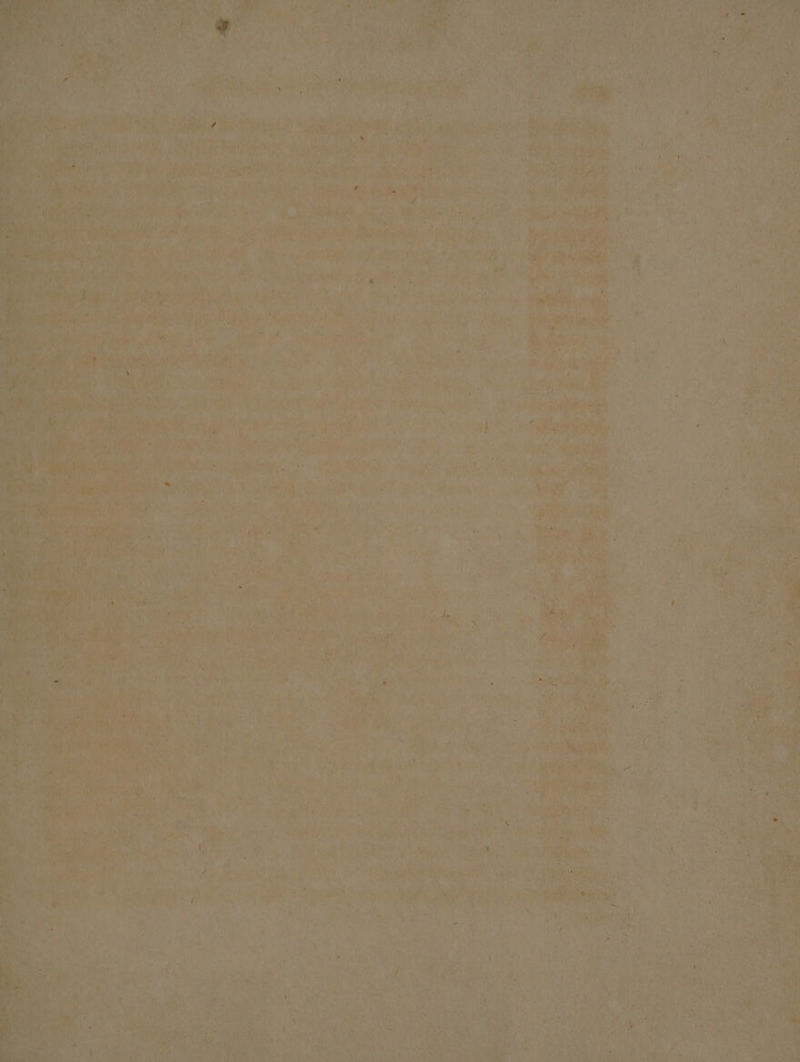 2 ” 8 N 71 Nai ee A rer i N IR 1 0 N 7 4 * N , >