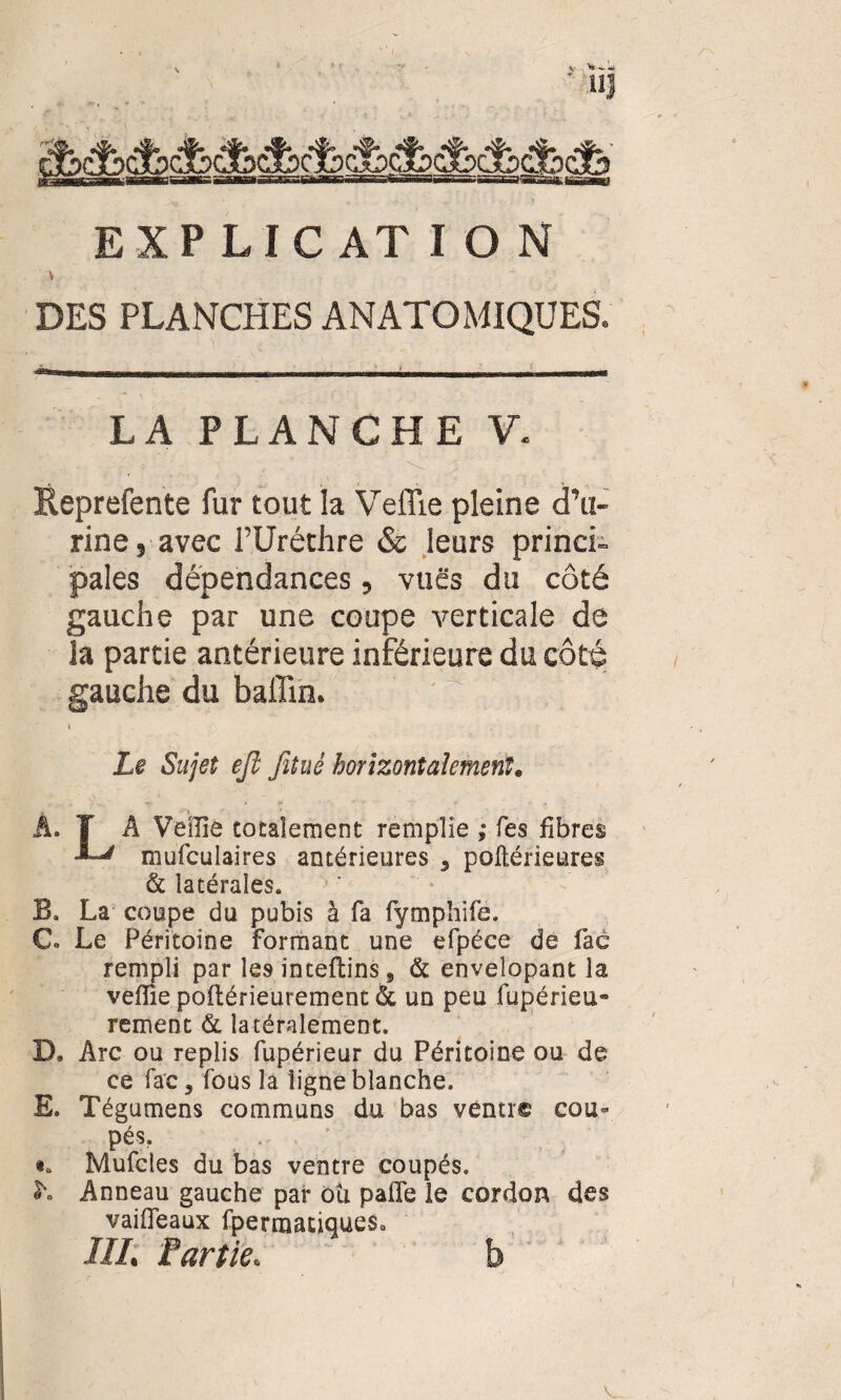 I EXPLICATION DES PLANCHES ANATOMIQUES. LA PLANCHE V. Reprefente fur tout la Ve file pleine d’u¬ rine, avec l’Uréthre & leurs princi¬ pales dépendances, vuës du côté gauche par une coupe verticale de la partie antérieure inférieure du côté gauche du badin. i Le Sujet eft fituê horizontalement* ■mp t * f • • 4 - > - À. T A Veille totalement remplie ,* Tes fibres mufculaires antérieures , poftérieures & latérales. B, La coupe du pubis à fa fymphife. C. Le Péritoine formant une efpéce de fac rempli par les înteftins, & envelopant la veflie poftérieurement & un peu fupérieu- rement & latéralement. D, Arc ou replis fupérieur du Péritoine ou de ce fac, fous la ligne blanche. E. Tégumens communs du bas venu*© cou¬ pés. Mufcles du bas ventre coupés. L Anneau gauche par oti pafle le cordon des vaifleaux fpermatiques» III. Partie. b