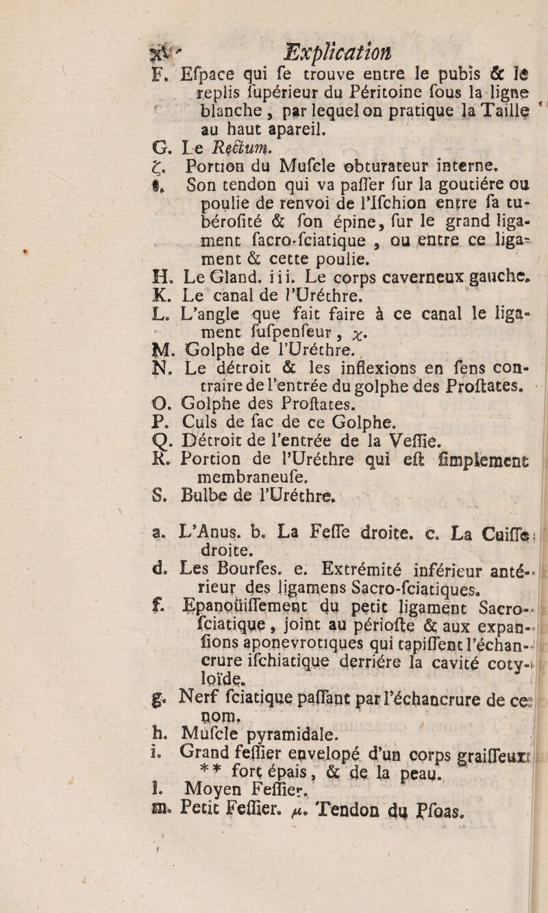 3cV ' Explication F. Efpace qui fe trouve entre le pubis & îê replis fupérieur du Péritoine fous la ligne blanche, par lequel on pratique la Taille au haut apareil. G. Le Reàim. Ç. Portion du Mufele obturateur interne. Son tendon qui va palfer fur la goutiére ou poulie de renvoi de PIfchion entre fa tu- bérofité & fon épine, fur le grand liga¬ ment facro-fciatique , ou entre ce liga^ ment & cette poulie. H. Le Gland, iii. Le corps caverneux gauche* K. Le canal de PUréthre. L. L’angle que fait faire à ce canal le liga¬ ment fufpenfeur, M. Golphe de PUréthre.. N. Le détroit & les inflexions en fens con¬ traire de l’entrée du golphe des Proftates. O. Golphe des Proftates. P. Culs de fac de ce Golphe. Q. Détroit de l’entrée de la Veflîe. K. Portion de PUréthre qui eft Amplement membraneufe. S. Bulbe de PUréthre. a. L\Anu$. b. La Fefle droite, e. La Guide; droite. d. Les Bourfes. e. Extrémité inférieur anté¬ rieur des ligamens Sacro-fciatiques. f. Epanoüiflemeqt du petit ligament Sacro- fciatique, joint au période & aux expan- fions aponevrotiques qui tapident l’échan¬ crure ifchiatique derrière la cavité cotv-i ïoïde. i! g. Nerf fciatique paflapt par Péchancrure de ce nom, h. Mufele pyramidale. ! L Grand feffier envelopé d’un corps graideœ * * fort épais, & de la peau. L Moyen Feffier. m» Petit Feffier. Tendon du Pfoas. r