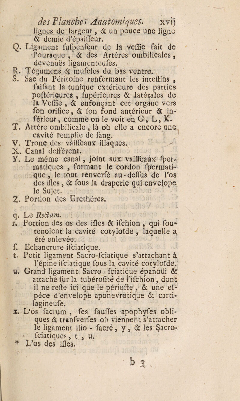 des Flanches Anatomiques. xvij lignes de largeur, & un pouce une ligne & demie d’épaifleur. Q. Ligamenc fufpenfeur de la yeiïîe fait de l’ouraque , & des Artères ombilicales, devenues ligamenteufes. R. Tégumens de mufcles du bas ventre. S. Sac du Péritoine renfermant les inteftins faifant la tunique extérieure des parties poftérieures , fupérieures & latérales de la Veiïie , & enfonçant cet organe vers fon orifice , & fon fond antérieur & in¬ férieur, comme on le voit en G, L, K. T. Artère ombilicale 5 là où elle a encore une cavité remplie de fang. V, Tronc des vâifleaux iliaques. X, Canal defférent. Y. Le même canal, joint aux vaifieaux fpeiv matiques , formant le cordon fpermari- que, le tout renverfé au*deflùs de l’os des ifles, de fous la draperie qui envelope le Sujet. 2. Portion des Urethéres. . - ; ' -, . ; . .. -. ' • ~ q. Le Rettum. r* Portion des os des ifles & ifehion , qui fou* tenoient la cavité cotvloïde , laquelle a été enlevée. f. Echancrure ifeiatique. t. Petit ligament Sacro-fciatique s’attachant à l’épine ifeiatique fous la cavité cotyloïde. u. Grand ligament Sacro * feiatique épanoüi de attaché fur la tubérofité de l’ifehion, donc il ne refte ici que le période, & une ef- péce d’envelope aponevrotique & carti- lagineufe. x. L’os facrum , fes faufies apophyfes obli¬ ques & tranfverfes où viennent s’attacher le ligament ilio - facré, y, & les Sacro- » feiatiques, t , U» * L’os des ifies. b