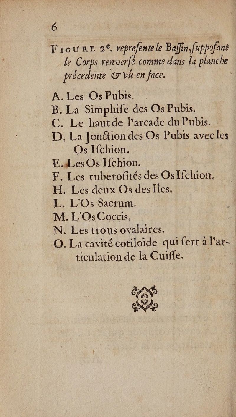 Fioure 2° repreentele Baffin fappofint le Corps renoerfé comme dans la planche précedente &amp;rvH en face. | A. Les OsPubis. B. La Simphile des Os Pubis. C. Le hautde l’arcade du Pubis. D. La Jonction des Os Pubis avecles Os Ifchion. E.dbLes Os Ifchion. F. Les tuberofités des OsIfchion. H. Les deux Os des iles. L. L'Os Sacrum. M. L'OsCocacis, N. Les trous ovalaires. O. La cavité cotiloide qui fert à lar- ticulation de la Cuiffe. CAS ?