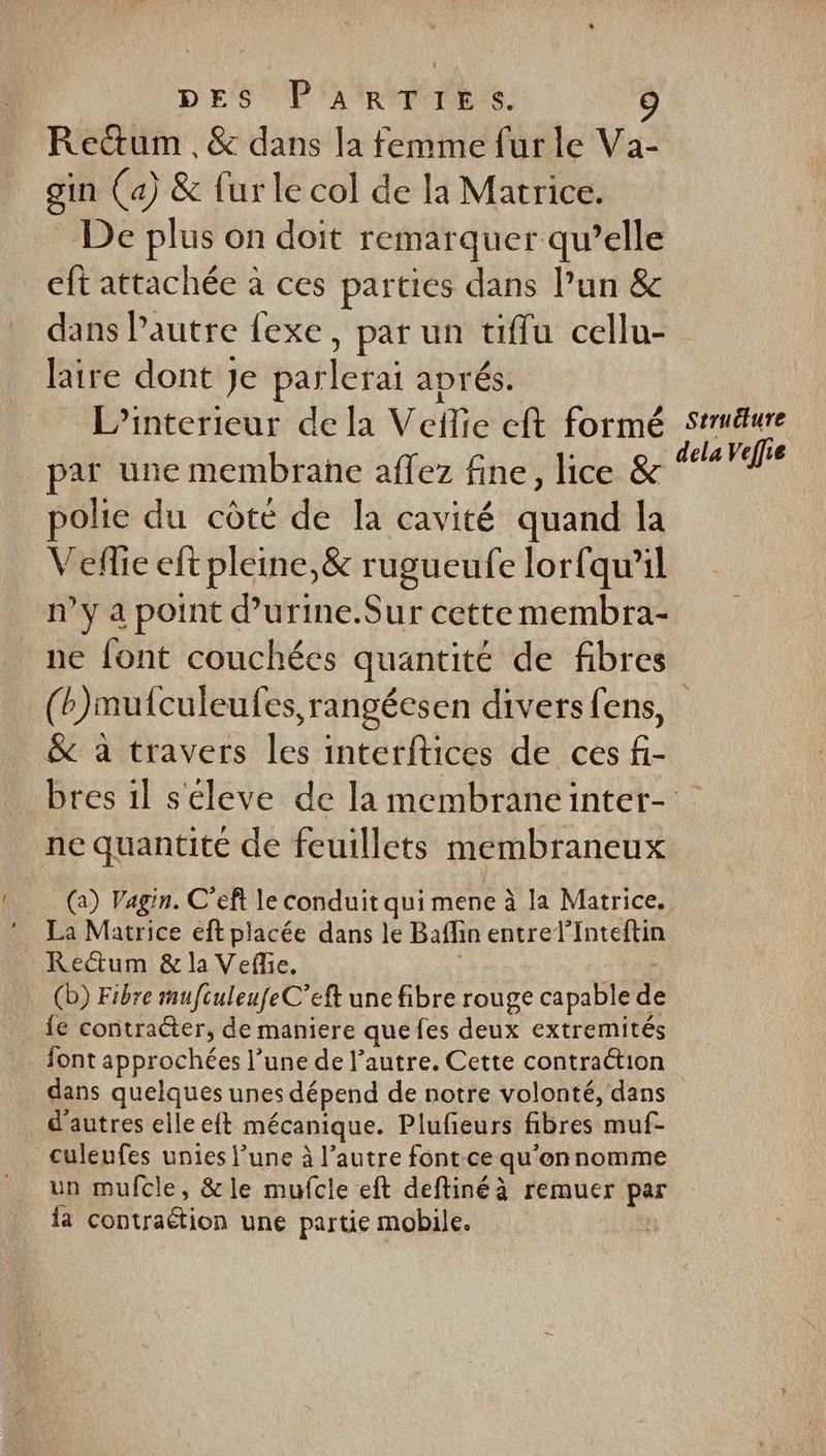 DE'S PARDON. Rectum , &amp; dans la femme fur le Va- gin (a) &amp; fur le col de la Matrice. De plus on doit remarquer qu’elle eft attachée à ces parties dans l’un &amp; dans autre fexe, par un üffu cellu- laire dont Je parlerai aprés. L’interieur de la Veilie eft formé srêure | dela Veffie par une membrane affez fine, lice &amp; polie du côte de la cavité quand la Veflie eft pleine,&amp; rugueufe lor{qu'il n’y a point d’'urine.Sur cette membra- ne font couchéces quantité de fibres (b)mulculeufes, rangéesen diversfens, &amp; à travers les interftices de ces fi- bres 1l séleve de la membraneinter- ne quantité de feuillets membraneux (a) Vagin. C’eft le conduit qui mene à la Matrice. La Matrice eft placée dans le Baffin entrel’Inteftin Rectum &amp; la Vefle, ; Wa (b) Fibre mufculeufeC’eft une fibre rouge capable de {e contracter, de maniere que fes deux extremités font approchées l’une de l’autre. Cette contraétion dans quelques unes dépend de notre volonté, dans d'autres elle eft mécanique. Plufeurs fibres muf- culeufes unies l’une à l’autre font ce qu'onnomme un mufcle, &amp;le mufcle eft deftinéà remuer par la contraétion une partie mobile.