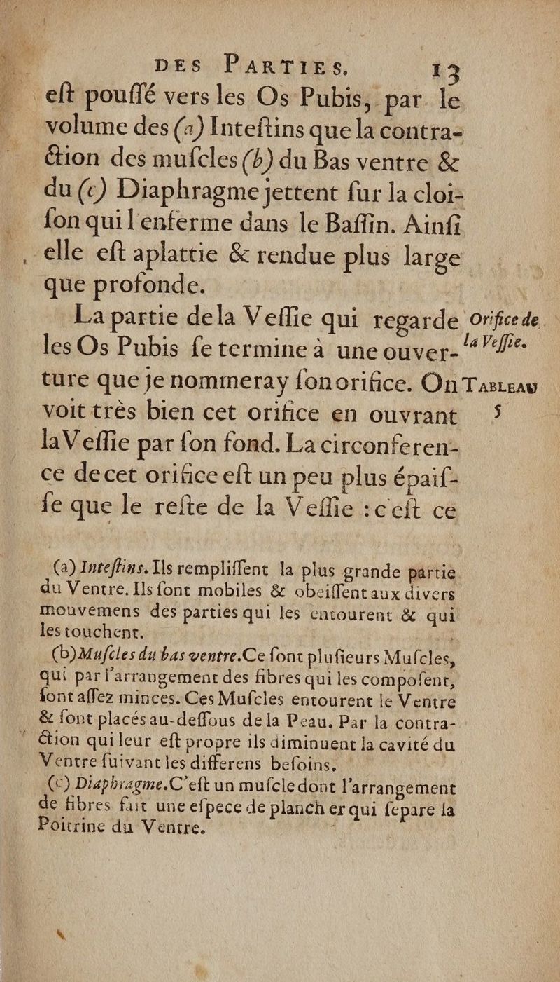 » eft pouffé vers les Os Pubis, par. le volume des (4) Inteftins quela contra: tion des mufcles (b) du Bas ventre &amp; du (€) Diaphragme jettent fur la cloi: fon qui l'enferme dans le Baffin. Ainf elle eft aplattie &amp; rendue plus large que profonde. La partie dela Veflie qui regarde orificede les Os Pubis fe termine à une ouver-*”#- ture que Je nommeray fonorifice. On Taszeaw voit très bien cet orifice en ouvrant 5 haVeffie par {on fond. La circonferen: ce de cet orifice eft un peu plus épaif- fe que le refte de la Veñie :ceft ce (a) Inreffins, Ts rempliffent la plus grande partie du Ventre. Ils font mobiles &amp; obeiffentaux divers mouveémens des parties qui les entourent &amp; qui les touchent. (b)Mufcles du bas ventre.Ce font plufieurs Mufcles, qui par l’arrangement des fibres qui les compofent, font affez minces. Ces Mufcles entourent le Ventre &amp; font placésau-deffous de la Peau. Par la contra- ” ion quileur eft propre ils diminuent la cavité du Ventre fuivantles differens befoins. Ce) Diaphragme.C'eft un mufcle dont l’arrangement de fibres fuit une efpece le planch er qui fepare la Poitrine du Ventre. :
