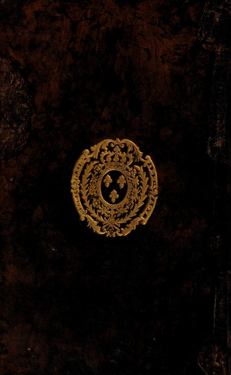 No text description is available for this image