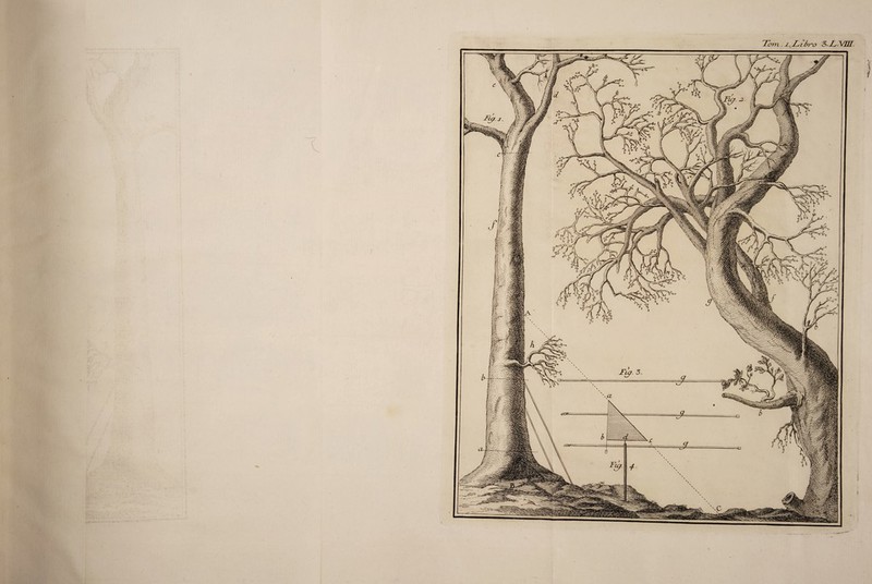 / Tom . J.. Tté>Ko 3- TVm.