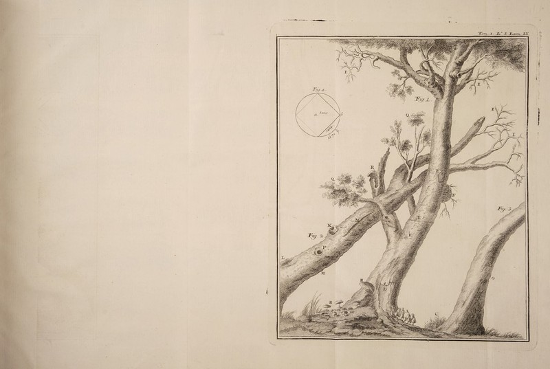 .. >:-T> \ - ( -looo Í < \ . ?