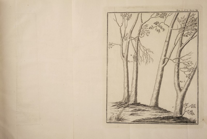 Tom. X T° 3. Tcvrti ATI