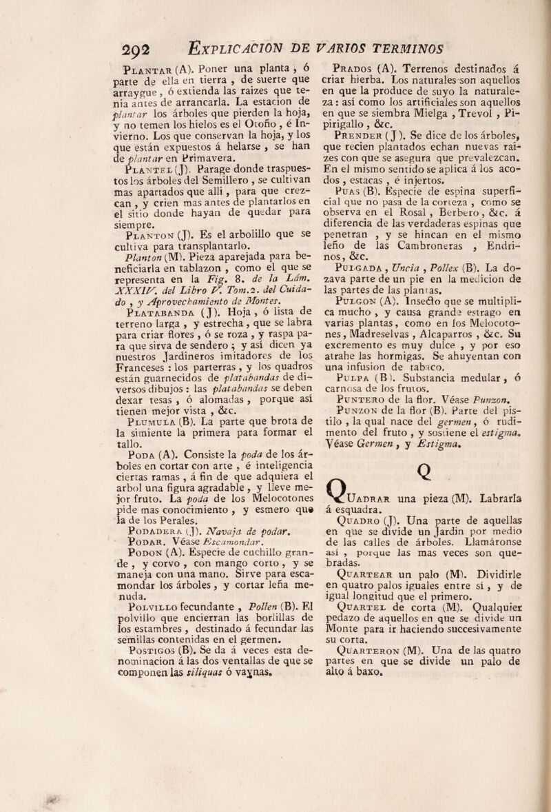 Plantar (A). Poner una planta , o parte de ella en tierra , de suerte que arraygue, ó extienda las raizes que te¬ nia antes de arrancarla. La estación de plantar los árboles que pierden la hoja, y no temen los hielos es el Otoño , é In¬ vierno. Los que conservan la hoja, y los que están expuestos á helarse , se han de plantar en Primavera. Plantel (J), Parage donde traspues¬ tos los árboles del Semillero , se cultivan mas apartados que alli, para que crez¬ can , y crien masantes de plantarlos en el sitio donde hayan de quedar para siempre. Plantón (J). Es el arbolillo que se cultiva para transplantarlo. Plantón (M). Pieza aparejada para be¬ neficiarla en tablazón , como el que se representa en la Fig. 8. de la Lám. XXXIV. del Libro U. Torn. 2. del Cuida¬ do , y Aprovechamiento de Montes. Platabanda (J). Hoja, ó lista de terreno larga , y estrecha , que se labra para criar flores , ó se roza , y raspa pa¬ ra que sirva de sendero ; y así dicen ya nuestros Jardineros imitadores de los Franceses : los parterras , y los quadros están guarnecidos de platabandas de di¬ versos dibujos : las platabandas se deben dexar tesas , ó alomadas , porque así tienen mejor vista , &c. Plumula (B). La parte que brota de la simiente la primera para formar el tallo. Poda (A). Consiste la poda de los ár¬ boles en cortar con arte , é inteligencia ciertas ramas , á fin de que adquiera el árbol una figura agradable , y lleve me¬ jor fruto. La poda de los Melocotones pide mas conocimiento , y esmero qu» la de los Perales. Podadera (J). Navaja de podar. Podar. Véase Escamondar. Podon (A). Especie de cuchillo gran¬ de , y corvo , con mango corto, y se maneja con una mano. Sirve para esca¬ mondar los árboles , y cortar leña me¬ nuda. Polvillo fecundante , Pollen (B). El polvillo que encierran las borlillas de los estambres , destinado á fecundar las semillas contenidas en el germen. Postigos (B). Se da á veces esta de¬ nominación á las dos ventallas de que se componen las siliquas ó vaynas* Prados (A). Terrenos destinados á criar hierba. Los naturales son aquellos en que la produce de suyo la naturale¬ za : así como los artificiales son aquellos en que se siembra Mielga , Trevol , Pi¬ pirigallo , &c. Prender (J). Se dice de los árboles, que recien plantados echan nuevas rai¬ zes con que se asegura que prevalezcan. En el mismo sentido se aplica á los aco¬ dos , estacas , é injertos. Púas (B). Especie de espina superfi¬ cial que no pasa de la corteza , como se observa en el Rosal , Bérbero, &c. á diferencia de las verdaderas espinas que penetran , y se hincan en el mismo leño de las Cambroneras , Endri¬ nos , &c. Pulgada , Uncía , Pollex (B). La do¬ zava parte de un pie en la medición de las partes de las plantas. Pulgón (A). Inseélo que se multipli¬ ca mucho , y causa grande estrago en varias plantas, como en los Melocoto¬ nes, Madreselvas , Alcaparros , &c. Su excremento es muy dulce , y por eso atrahe las hormigas. Se ahuyentan con una infusion de tabaco. Pulpa (B). Substancia medular, ó carnosa de los frutos. Puntero de la flor. Véase Punzón. Punzón de la flor (B). Parte del pis¬ tilo , la qual nace del germen, ó rudi¬ mento del fruto , y sostiene el estigma. Véase Germen , y Estigma. O NlUadrar una pieza (M). Labrarla á esquadra. Quadro (J). Una parte de aquellas en que se divide un Jardín por medio de las calles de árboles. Llamáronse así , porque las mas veces son que¬ bradas. Quartear un palo (M). Dividirle en quatro palos iguales entre sí , y de igual longitud que el primero. Quartel de corta (M). Qualquier pedazo de aquellos en que se divide un Monte para ir haciendo succesivamente su corta. Quarteron (M). Una de las quatro partes en que se divide un palo de alto á baxo.