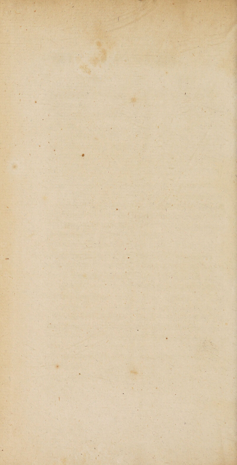 t I I t « V V » / ' ^ 's