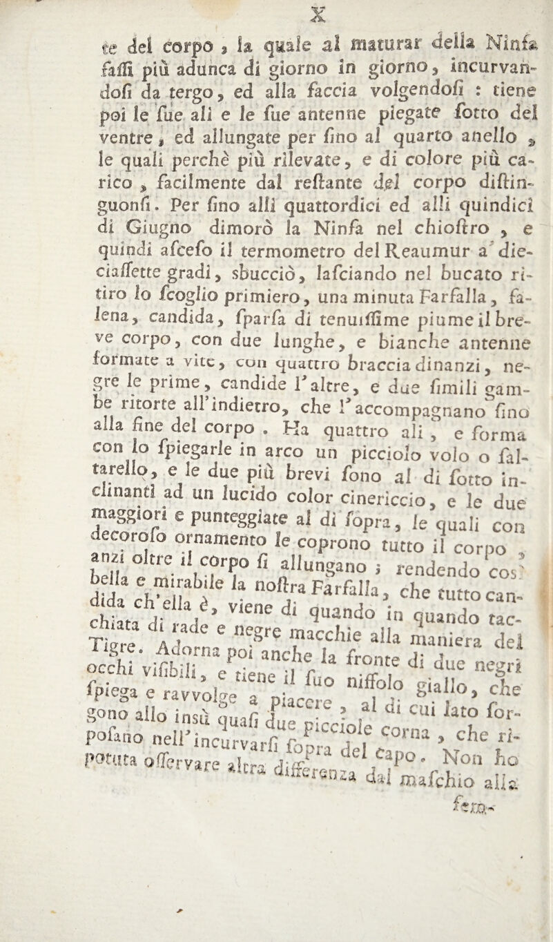 te dei corpo , la quale al maturar delia Ninfa faffi più adunca di giorno in giorno, incurvan¬ doli da tergo, ed alla faccia volgendoli : tiene poi le fu e ali e le fue antenne piegate fotto del ventre, ed allungate per lino al quarto anello , le quali perchè più rilevate, e di colore piu ca¬ rico , facilmente dal reftante del corpo diftin- guonfi. Per fino alli quattordici ed a Hi quindici di Giugno dimorò la Ninfe nel chioftro , e quindi afcefo il termometro del Reaumur a die- cialfette gradi, sbucciò, lafciando nel bucato ri¬ tiro lo fcoglio primiero, una minuta Farfalla, fa¬ lena, candida, fparfe di tenuilfime piume il bre¬ ve corpo, con due lunghe, e bianche antenne formate a vite, con quattro braccia dinanzi, ne¬ gre le prime, candide Falere, e due limili gam- oe litorte all indietro, che Faccompagnano fino alla line del corpo . Ha quattro ali , e forma con io fpiegarle in arco un picciolo volo o fel- tarello, e le due più brevi fono al di fotto in¬ chinanti ad un lucido color cinericcio, e le due maggiori e punteggiate al di fopra, le quali con derorofo ornamento le coprono tutto il corpo , ant dttc ,1 corpo fi allungam, ; rendendo 'cor' dlda clrvi; ! ,n°ft!raFarfalla* c^e tutto can- ckiata di rade’e negre ma^cp10 11 'JUa,“l0 tac‘ Tigre. Adorna poUnchèu'we T'“n dd occlri vifibili, e tiene il fj Sfotto T fPiega e ravvolge a Piaccre , S‘aJ,i0> ^ gono alio insù ani fi A • , Ul CU1 iato f°r- Potano ncU-TncZ:irfi '? ^ ^ potuta olTervare altra dir uCC“i'° ' Non ho a Cr“ d^nza dai mafehio alia ■* ie fi