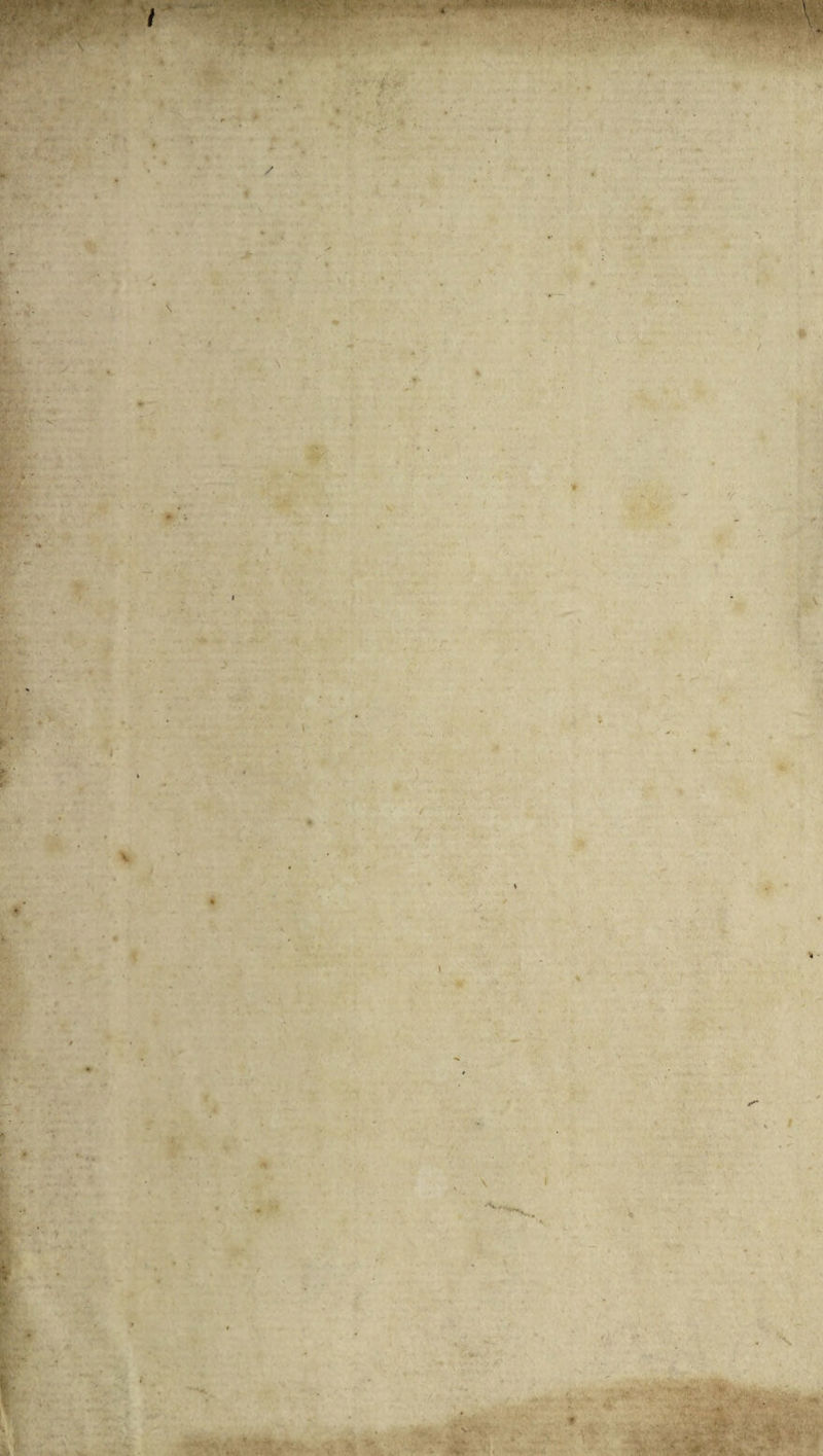 / \ V- K., - <-,¥,■;■ ’ i '*»***^