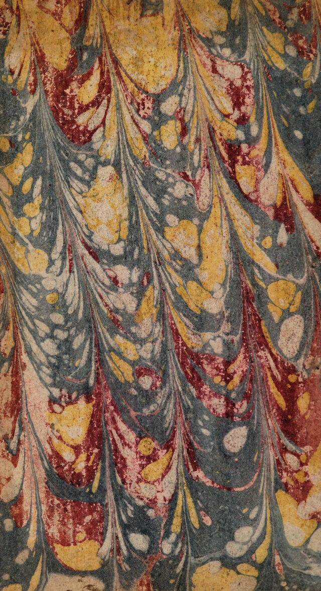 No text description is available for this image