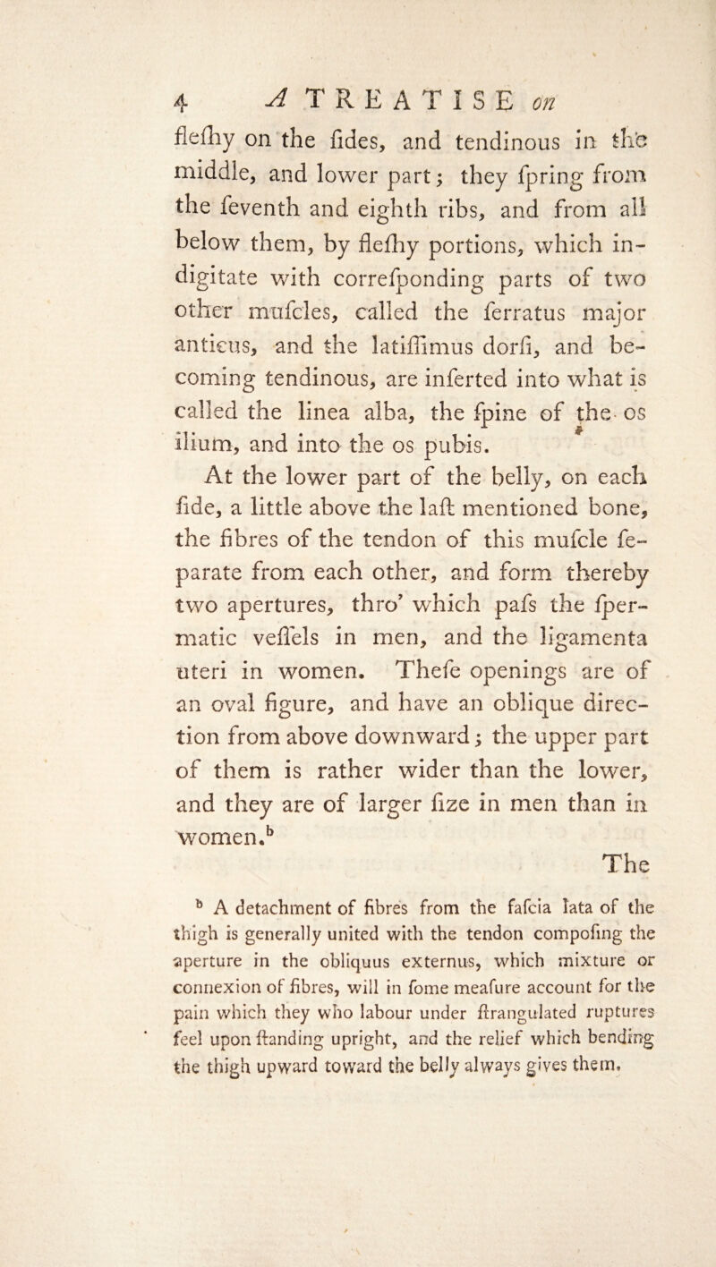 fle£hy on the Tides, and tendinous in the middle, and lower part; they fpring from the feventh and eighth ribs, and from all below them, by flefhy portions, which in- digitate with correfponding parts of two other mufcles, called the ferratus major antieus, and the latiffimus dorfi, and be¬ coming tendinous, are inferted into what is called the linea alba, the fpine of the- os ilium, and into the os pubis. At the lower part of the belly, on each fide, a little above the laft mentioned bone, the fibres of the tendon of this mufcle fe~ parate from each other, and form thereby two apertures, thro’ which pafs the fper- matic vefl'els in men, and the ligamenta uteri in women. Thefe openings are of an oval figure, and have an oblique direc¬ tion from above downward; the upper part of them is rather wider than the lower, and they are of larger fize in men than in women.b The b A detachment of fibres from the fafcia lata of the thigh is generally united with the tendon compofing the aperture in the obliquus ex tern us, which mixture or connexion of fibres, will in feme meafure account for the pain which they who labour under ftrangulated ruptures feel upon Handing upright, and the relief which bending the thigh upward toward the belly always gives them.