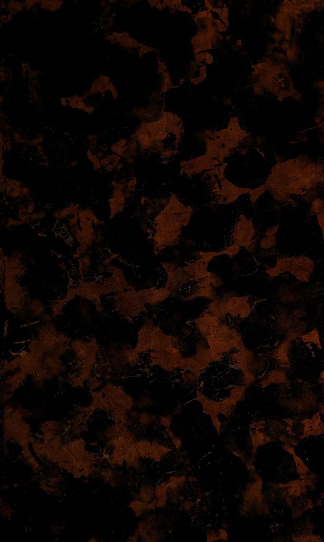 digitised image 1