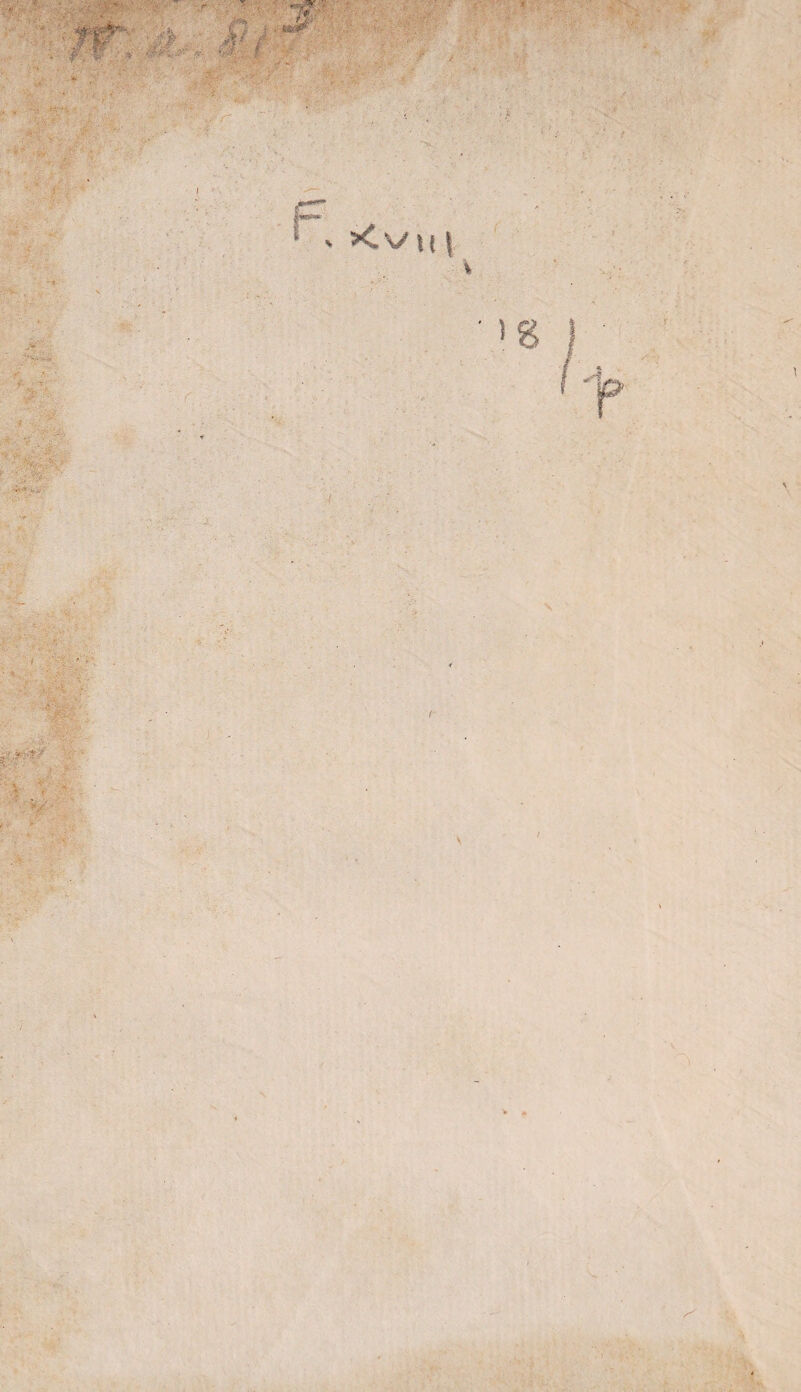 ■ . - . *• /? (f » , m»*5 ,'/r • <■ *•. ? ■ >■«* F <V|| ( .