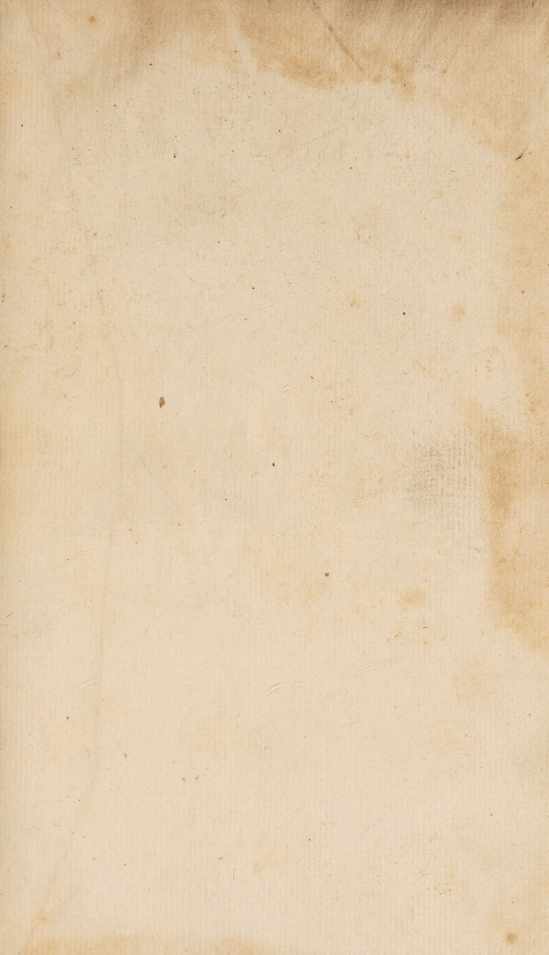 ■ ■ Vt 1 ■■ ■ '• ■ •• • • T' ■ , • ■ %[ . v- • ; .. . v ■ » >•-, v ' ; V - ; • ’ lv fY-- & V.. ' S V Mk.